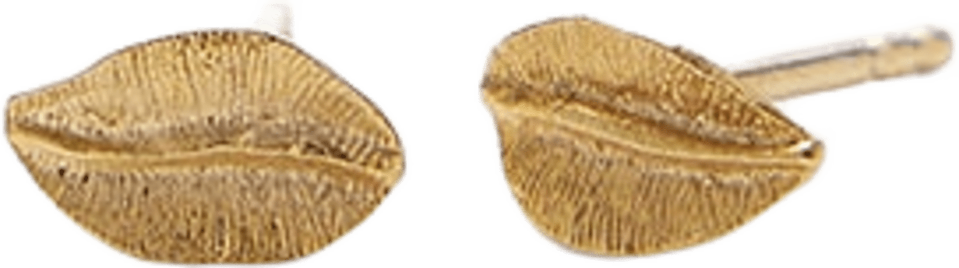Elm Leaf Earsticks