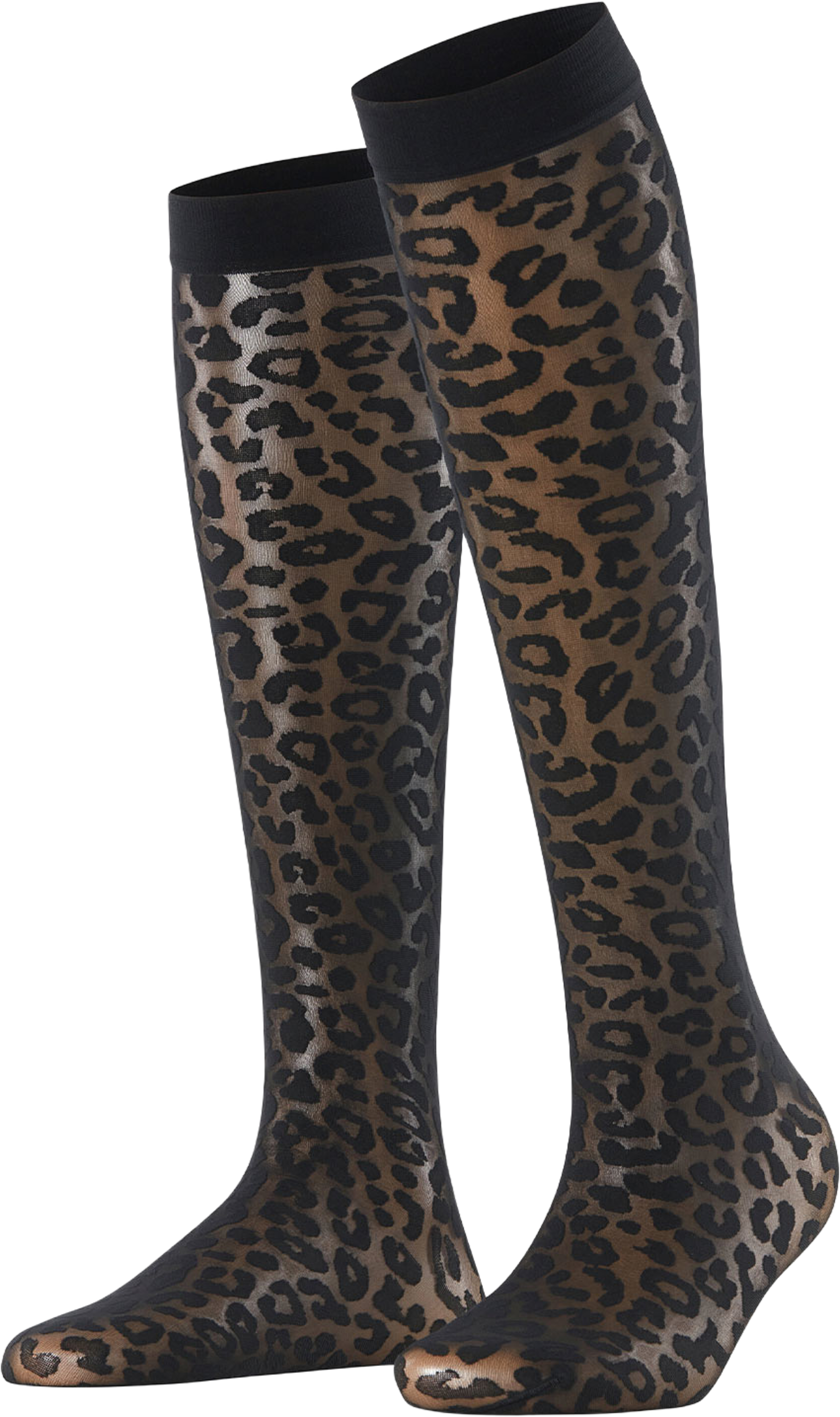 Wild Breed KH, från Falke, i färgen Black. Klicka för att öppna bilden i stort format