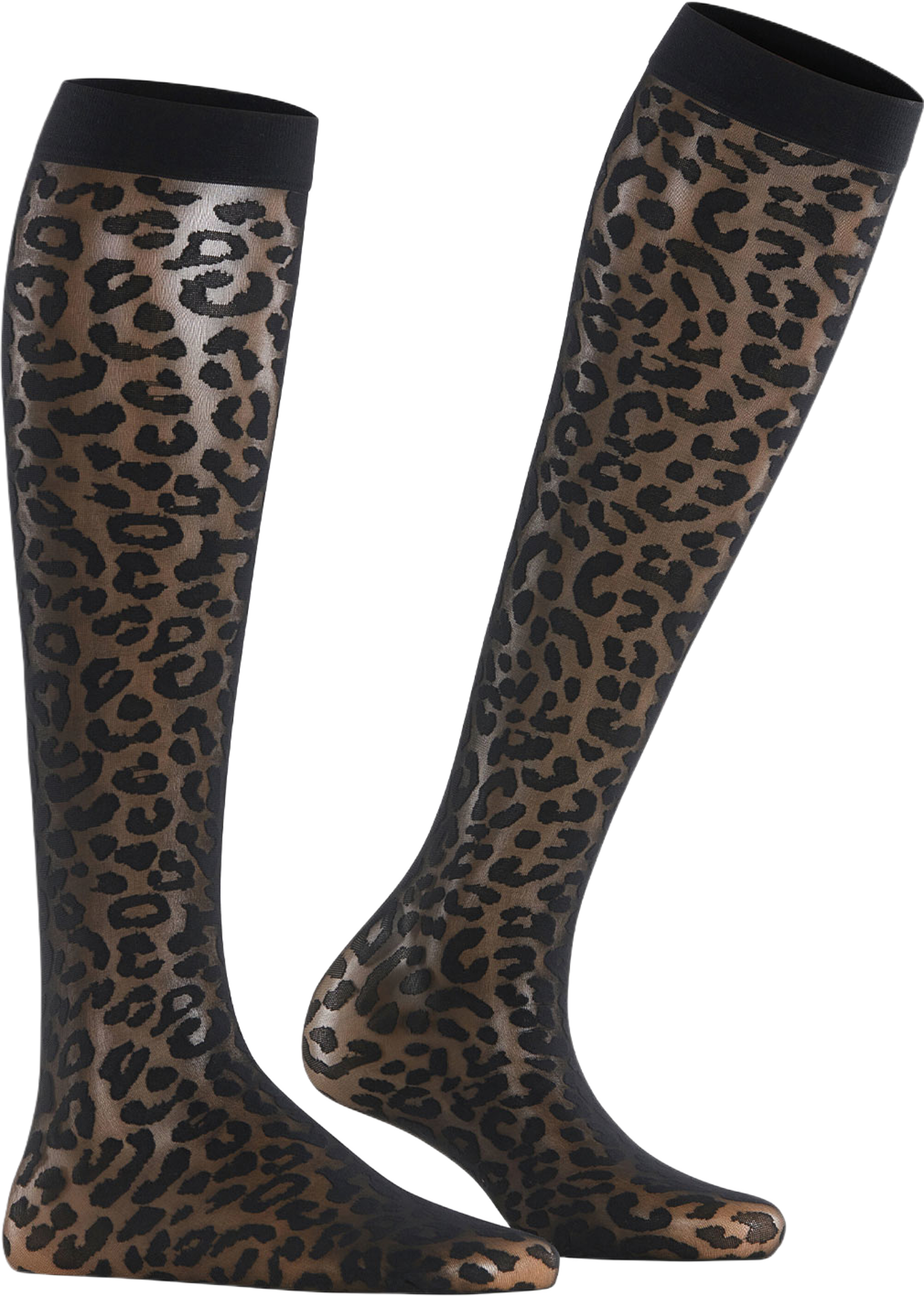 Wild Breed KH, från Falke, i färgen Black. Klicka för att öppna bilden i stort format