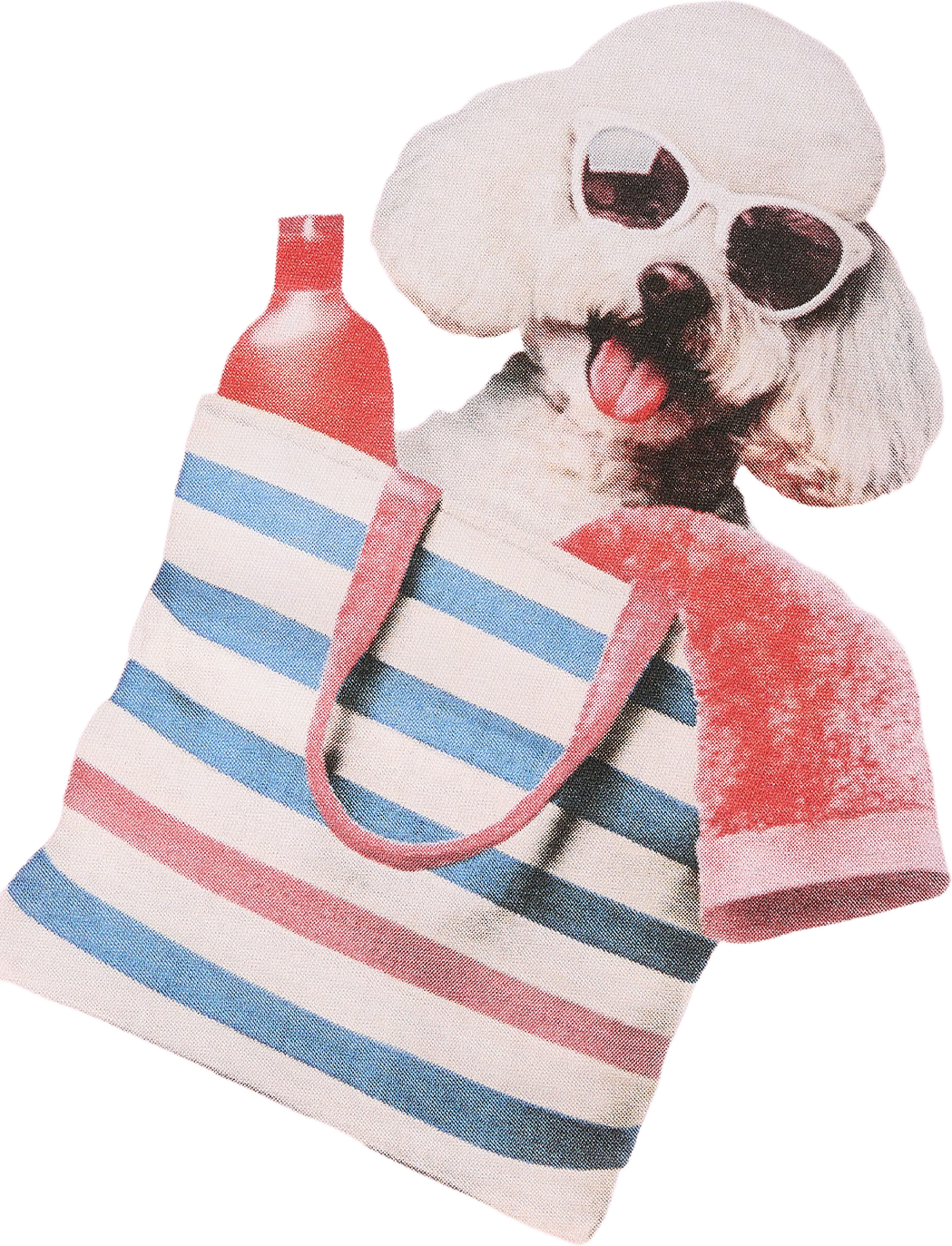 NMFVOTEA LS NREG TOP, från Name It, i färgen Pirouette Beach Poodle. Klicka för att öppna bilden i stort format