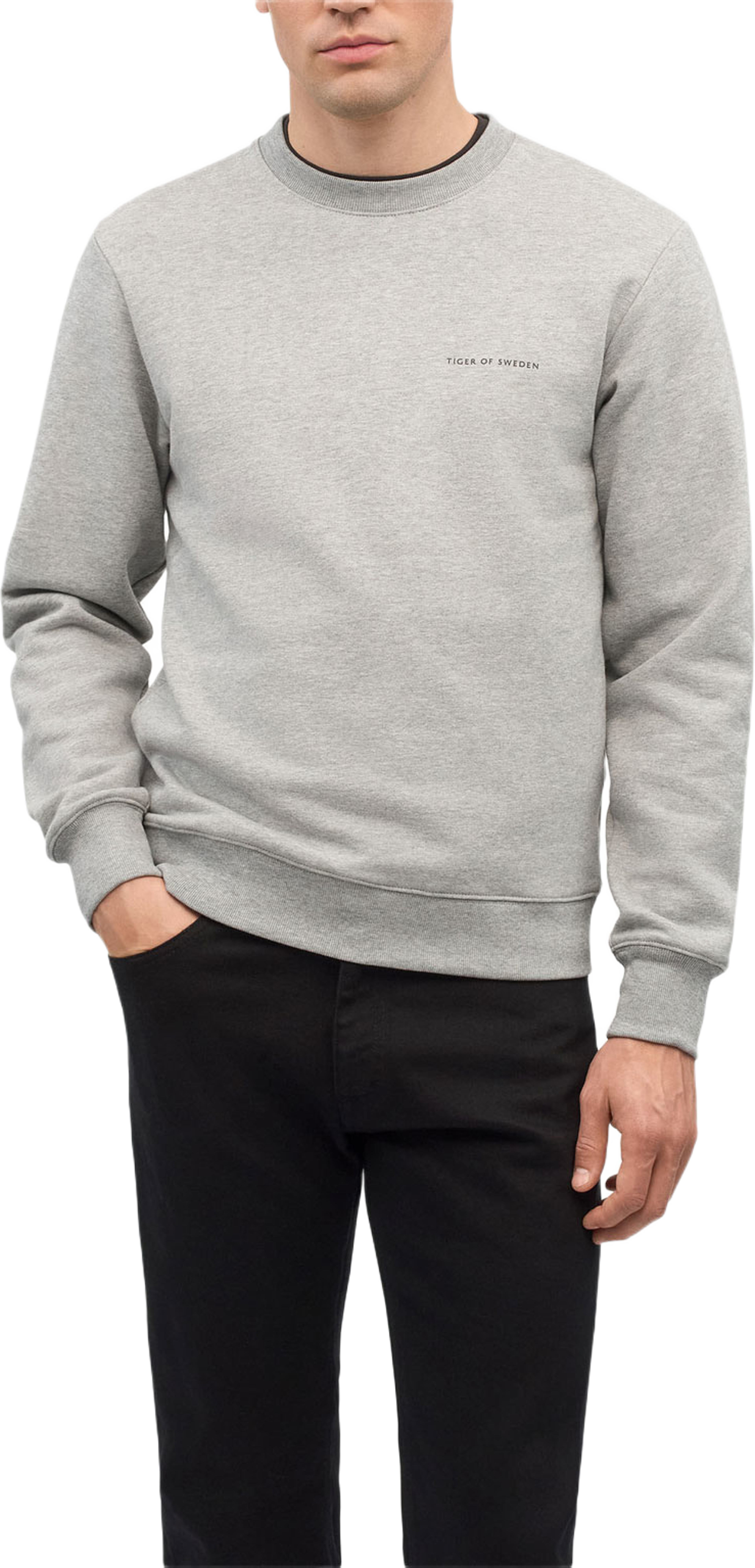 Emerson Jerseybomullströja, från Tiger of Sweden, i färgen Med Grey Mel. Klicka för att öppna bilden i stort format