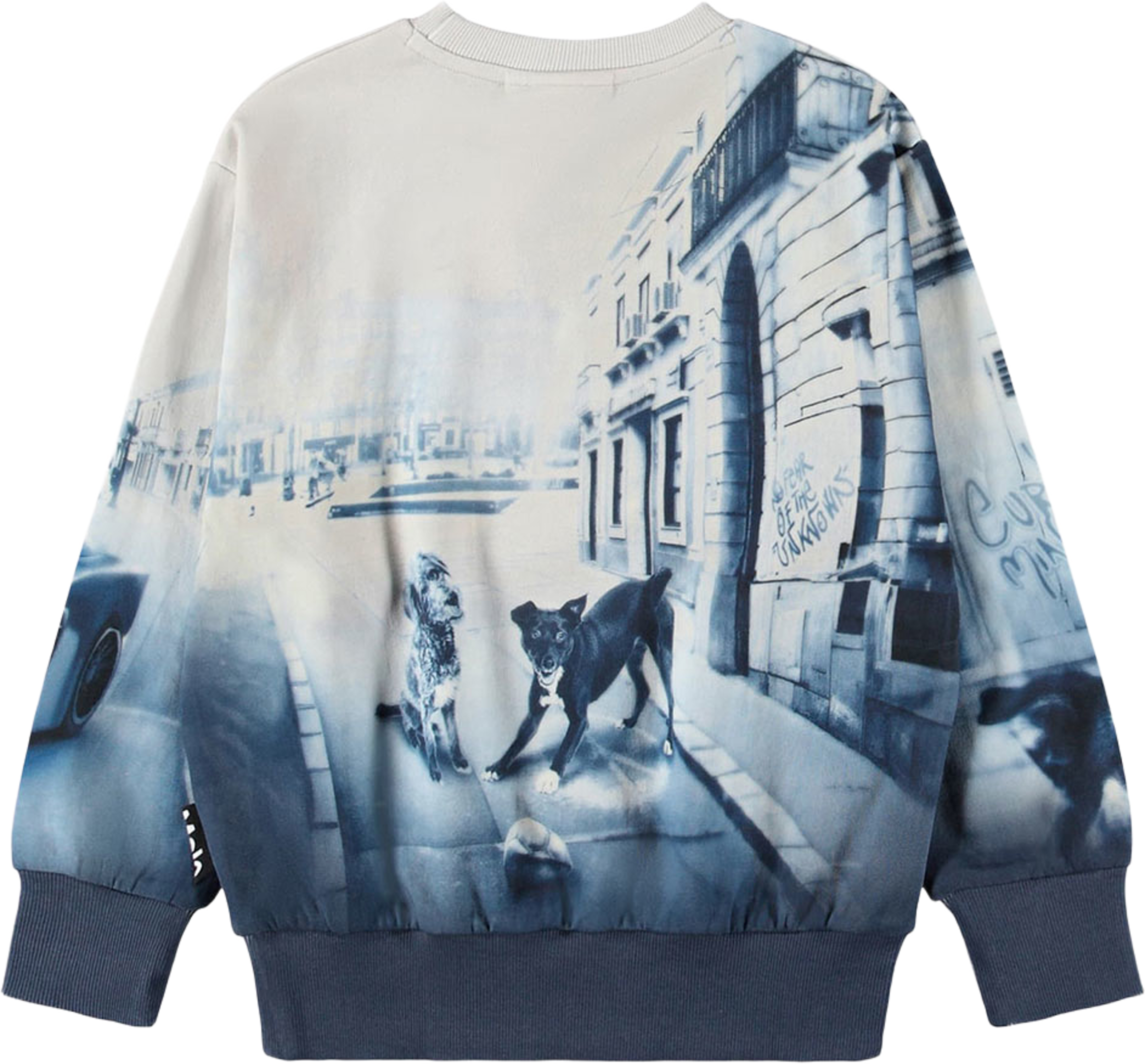 Mattis Sweatshirt, från Molo, i färgen Curiocity. Klicka för att öppna bilden i stort format