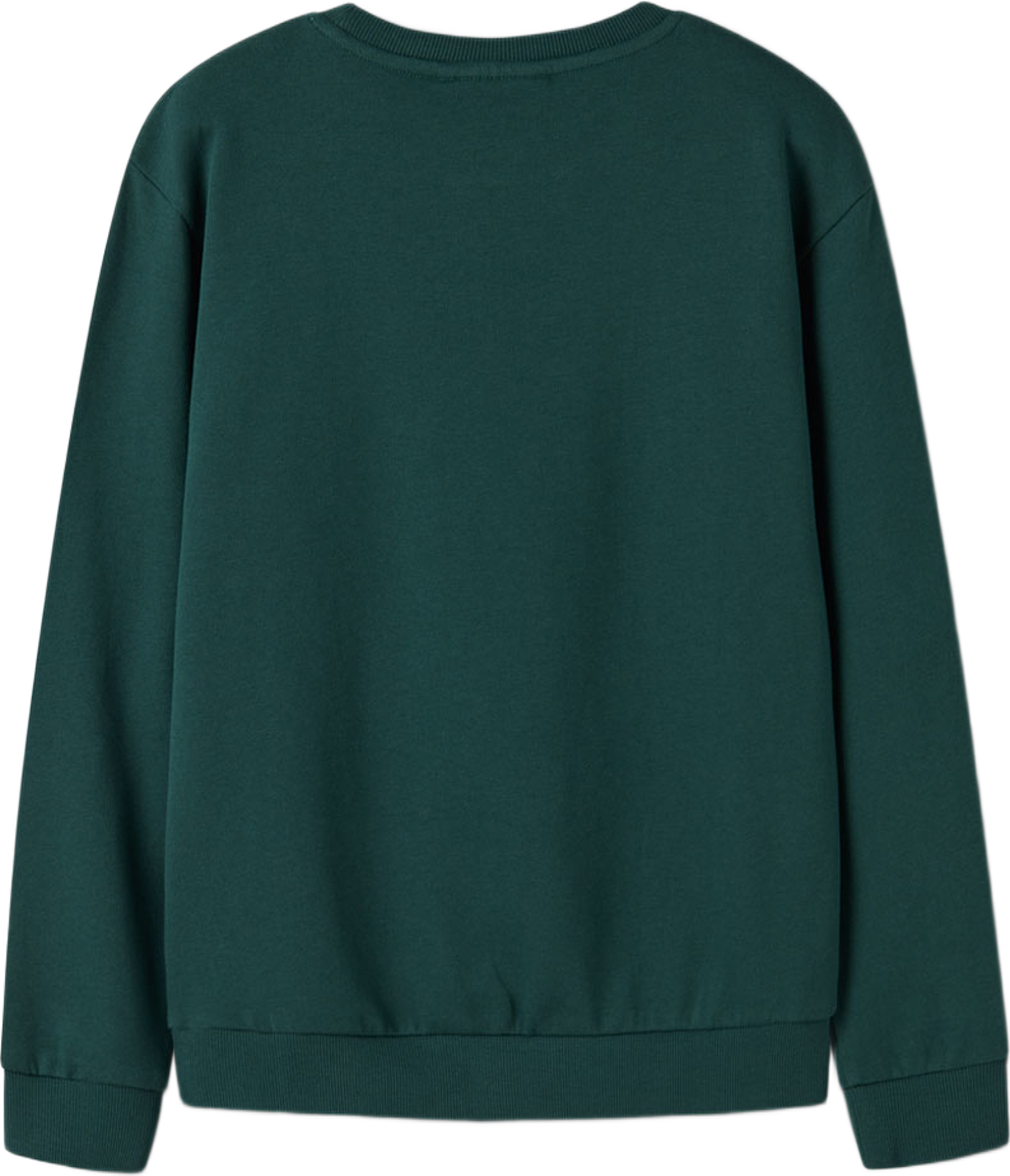 Voluf Sweatshirt, från Name It, i färgen Botanical Garden Gamer Santa. Klicka för att öppna bilden i stort format