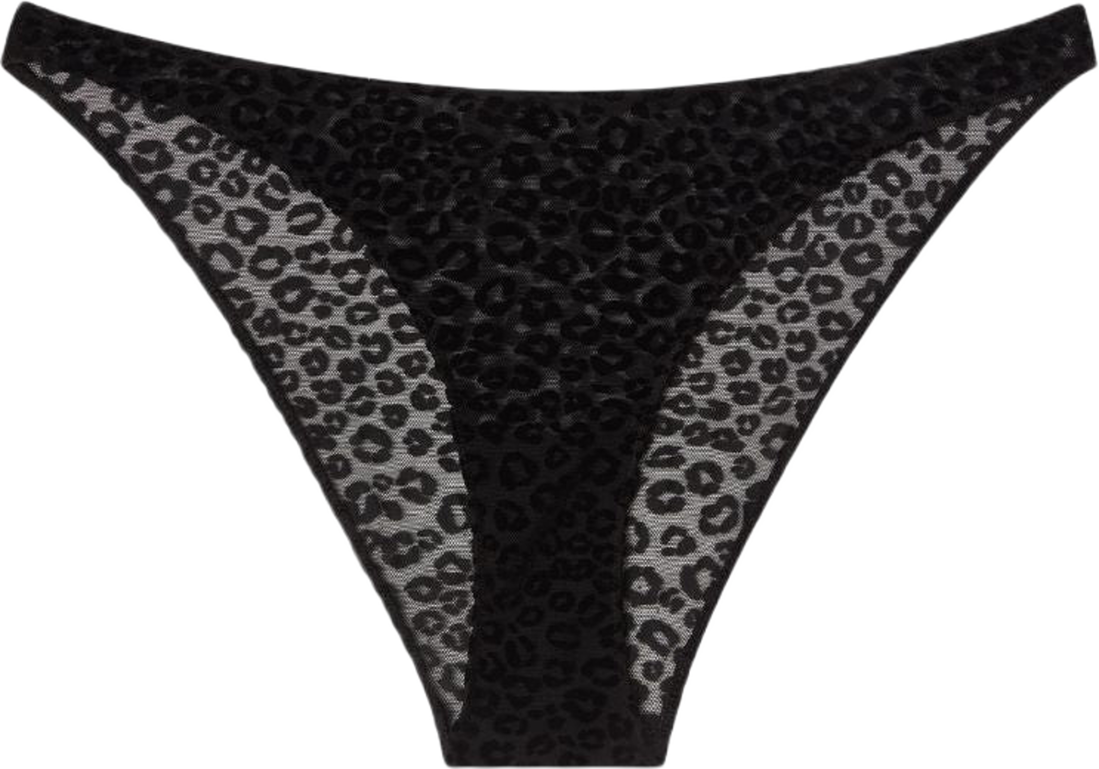 Mesh Bikini Briefs