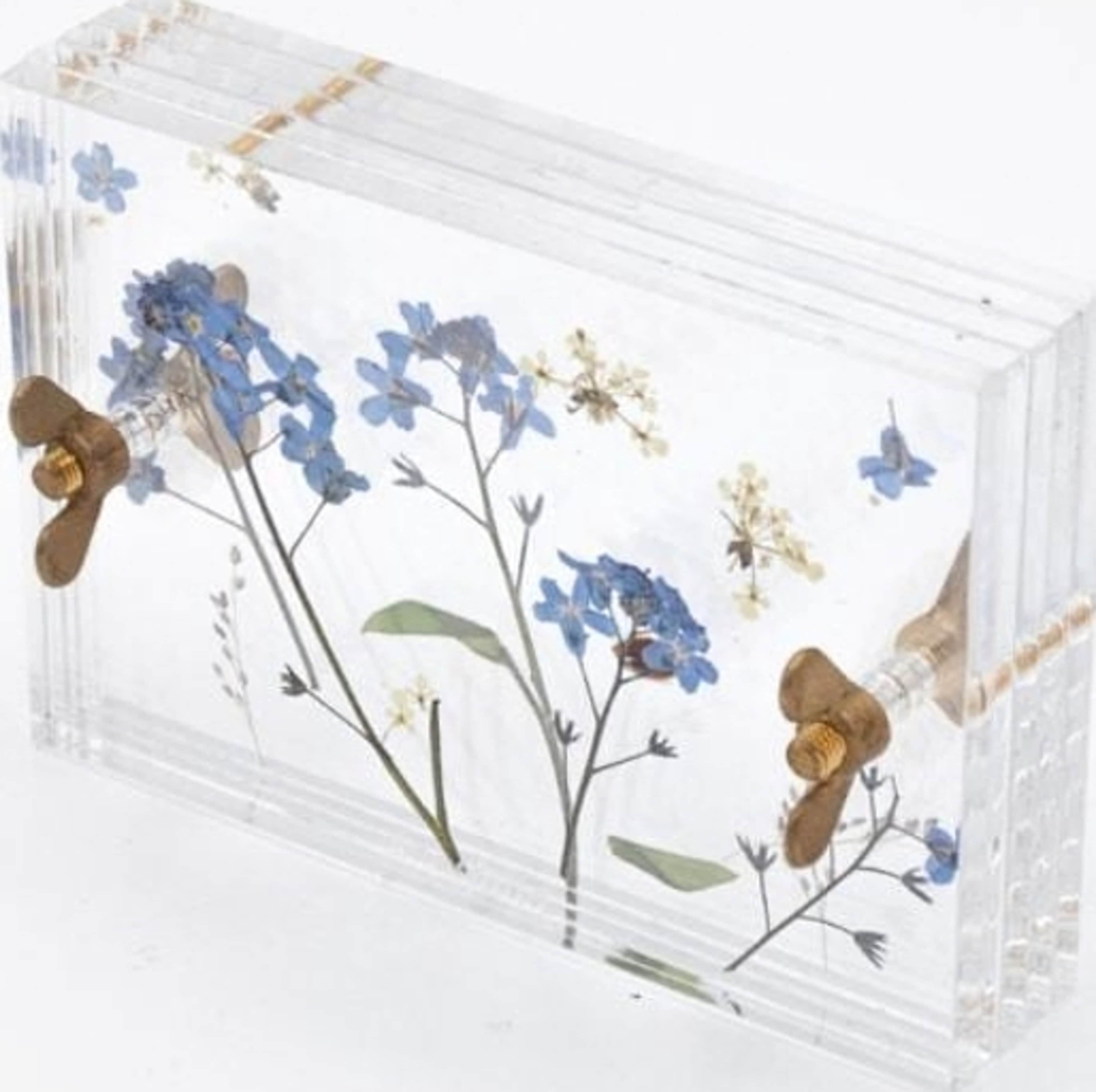 Blompress Ängsfälla Liten, från Ängsfällan, i färgen transparent. Klicka för att öppna bilden i stort format