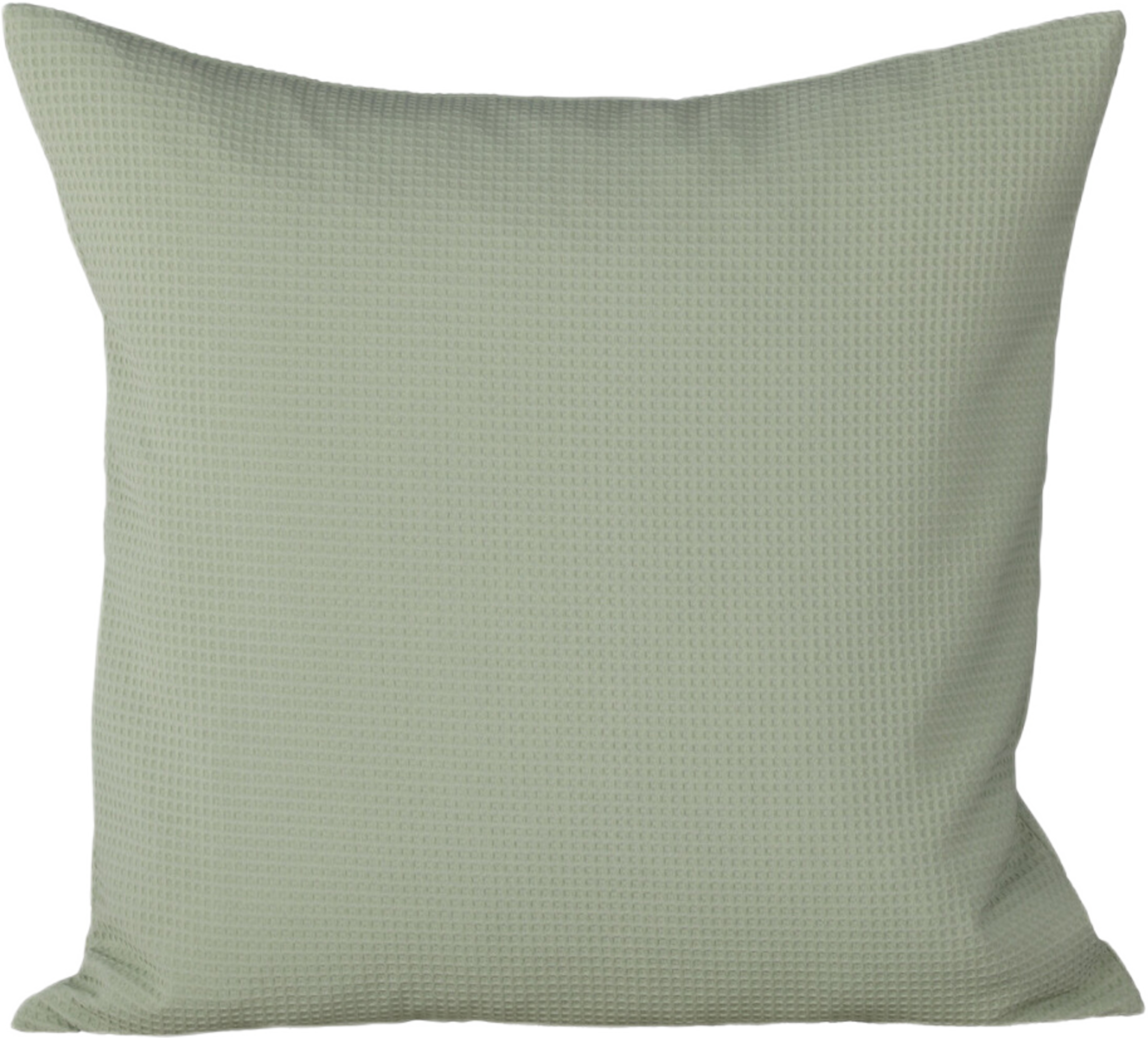 Celine Kuddfodral