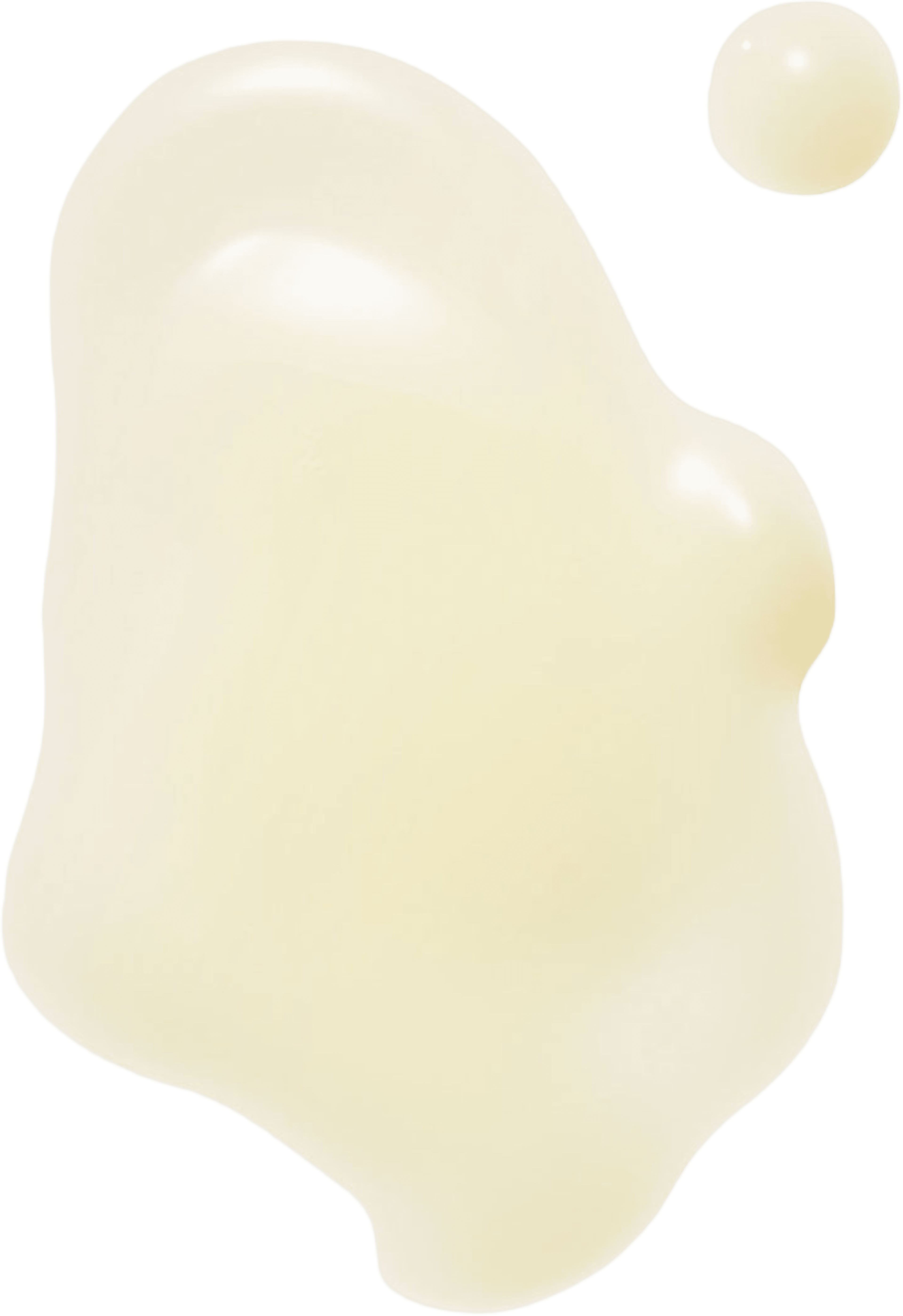 The Shroom Essence – Multi-depth hydration fluid
