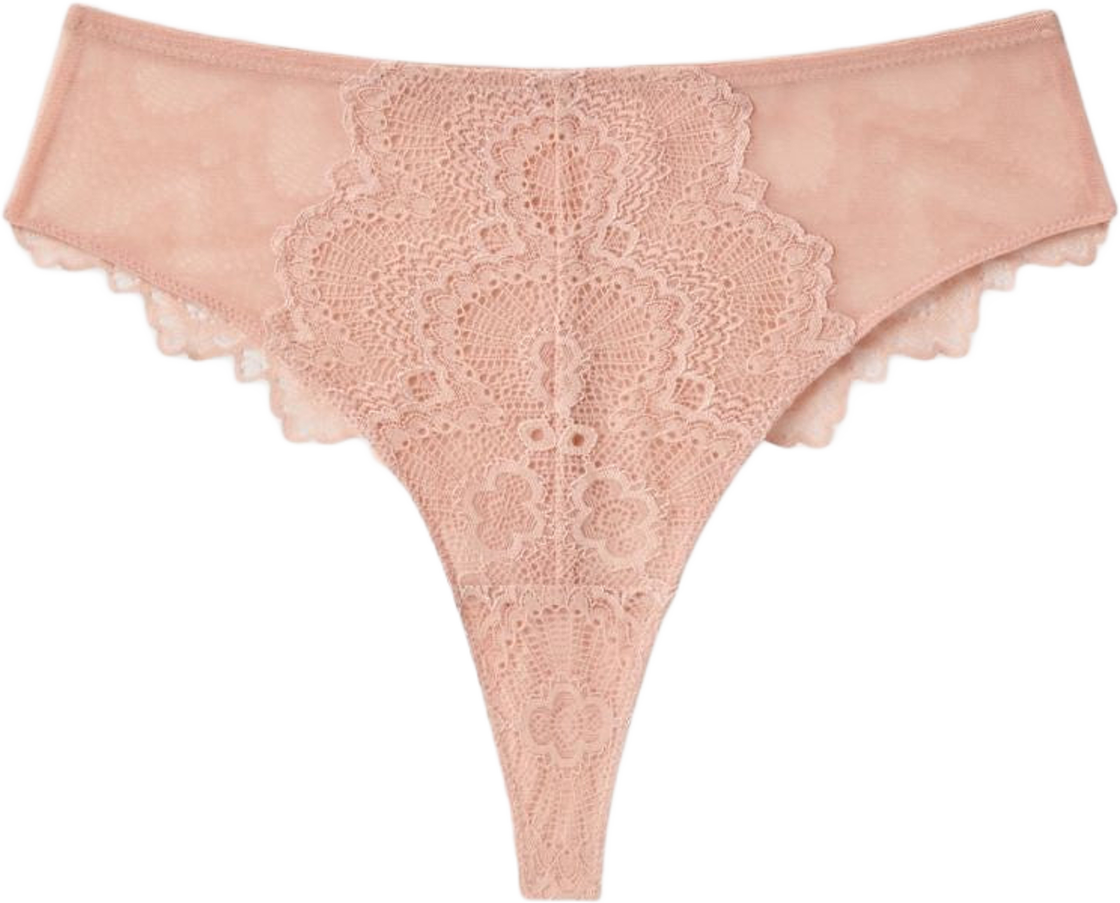 Lace Mesh Highwaist Thong