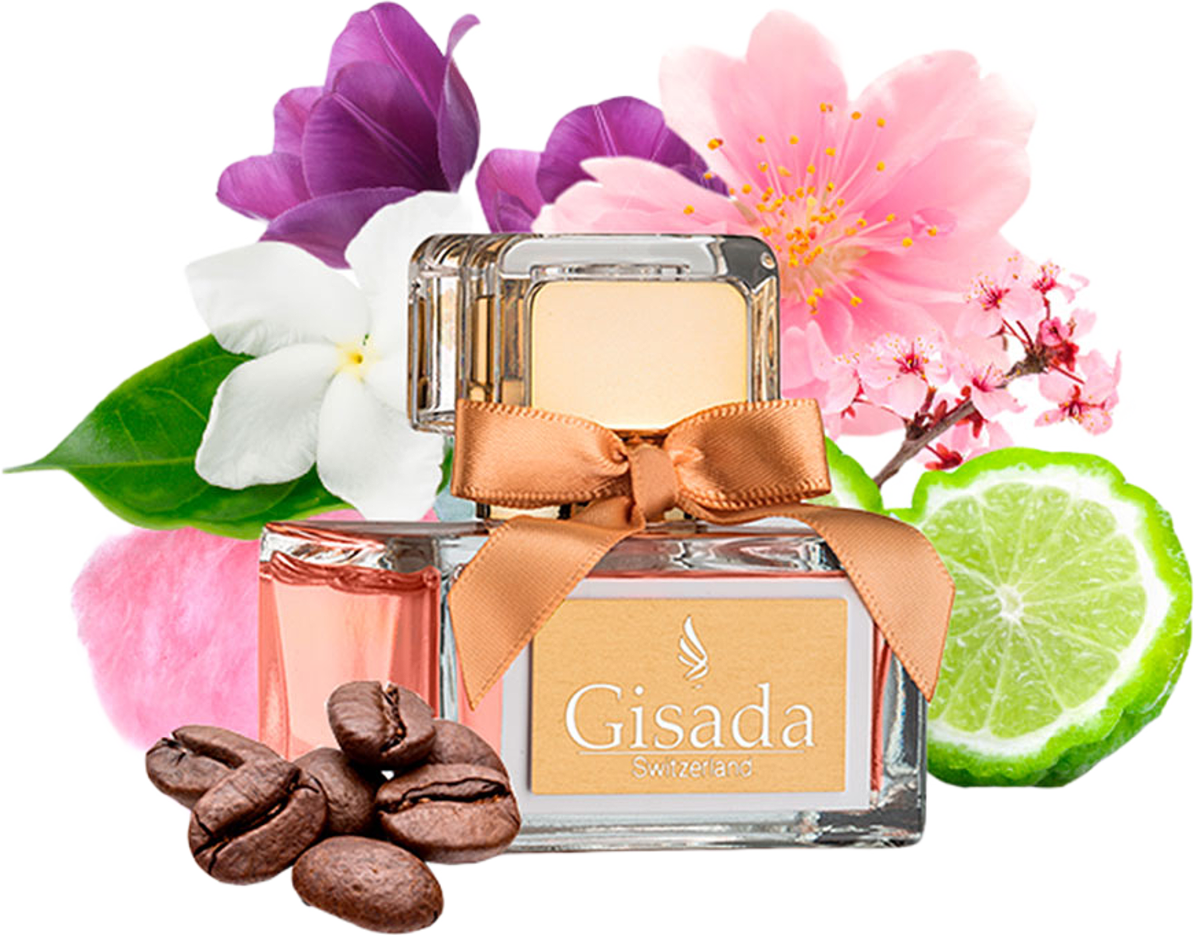 Donna Edt