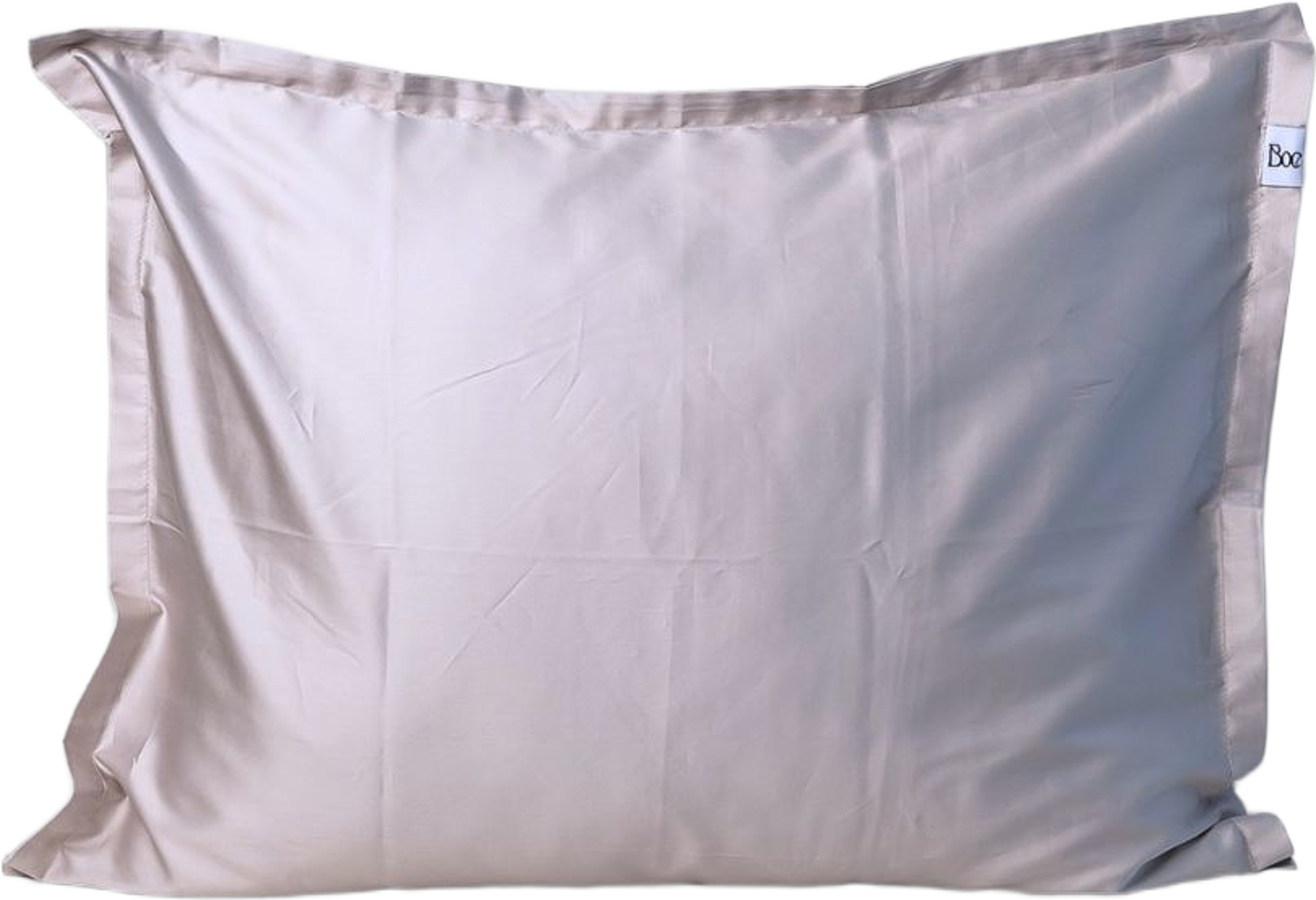 Regency Lee - Örngott 50x60, från Home of ESS, i färgen champagne. Klicka för att öppna bilden i stort format