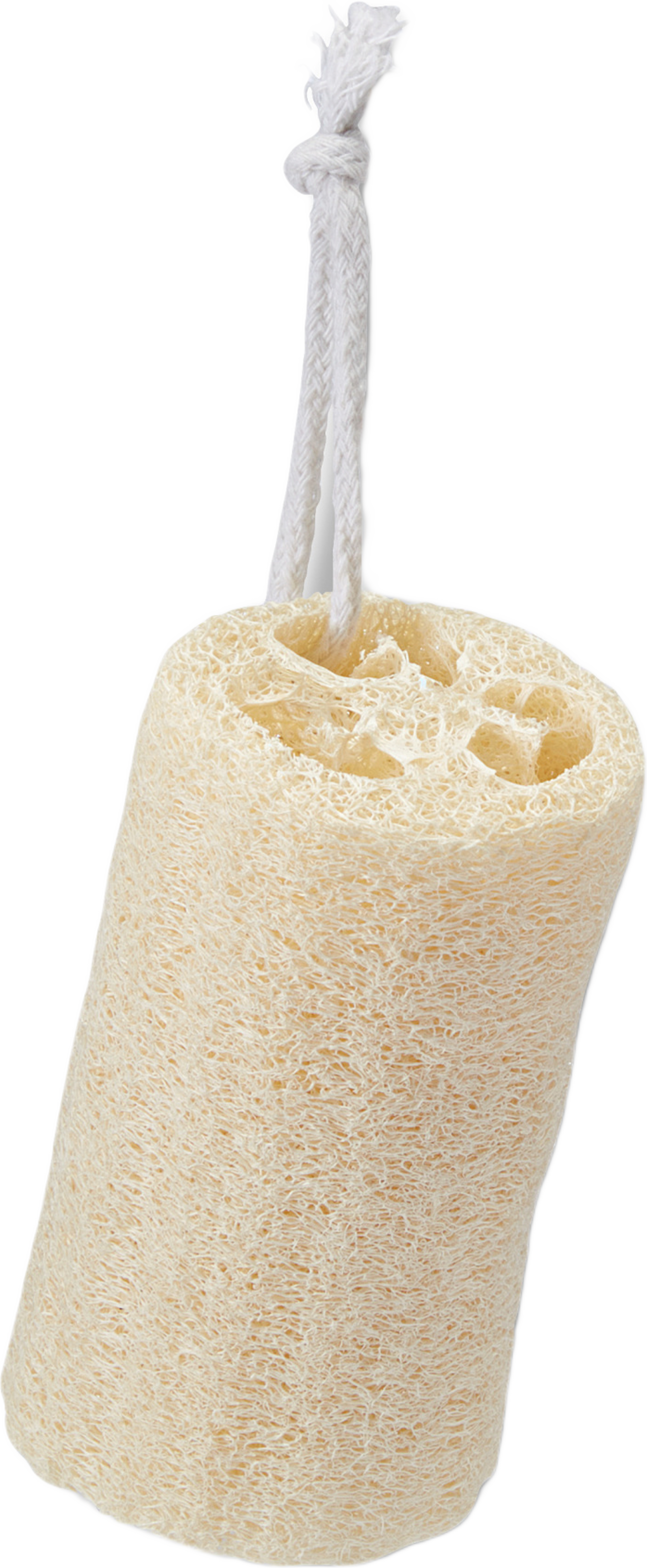 Loofa svamp