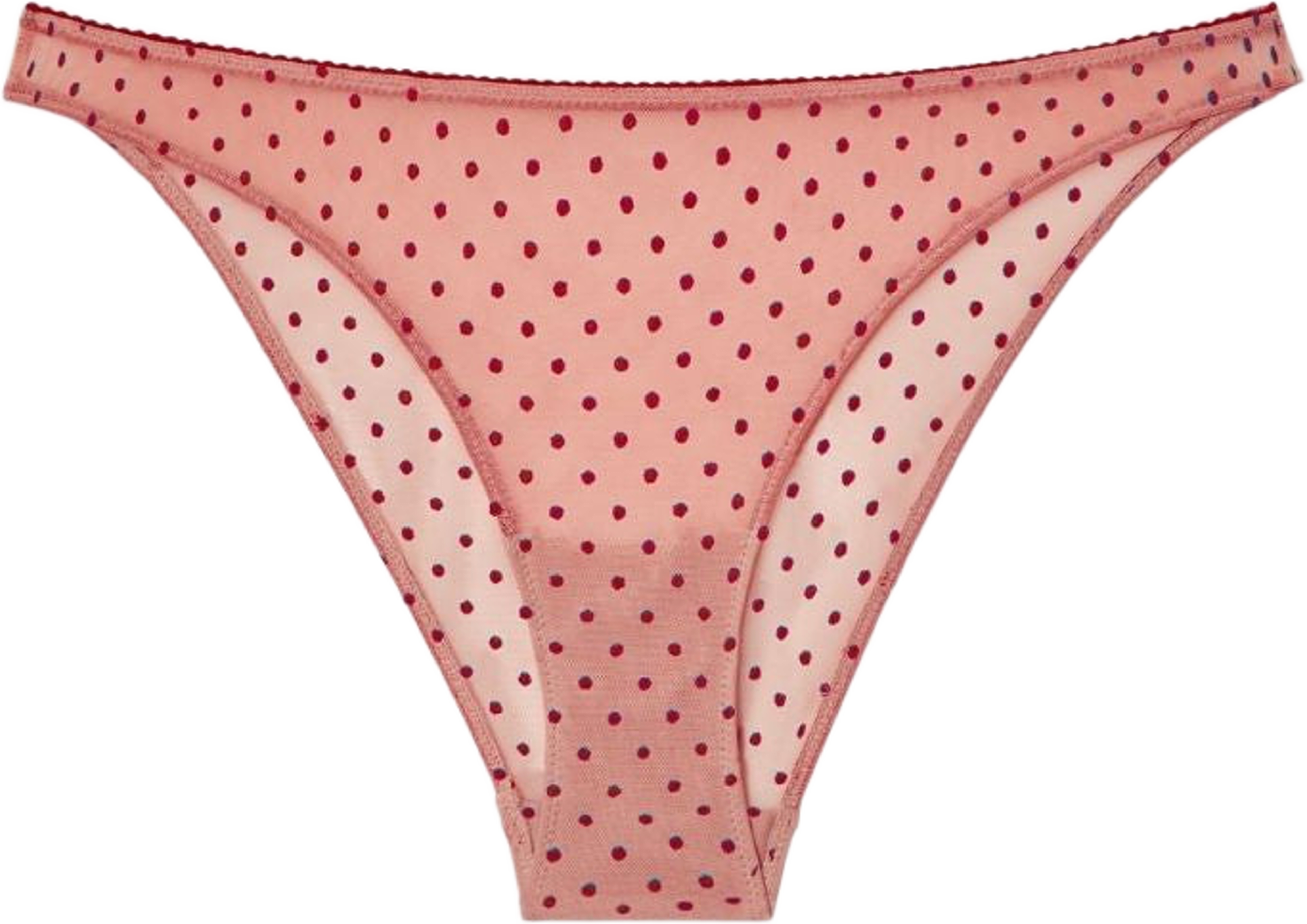 Mesh Bikini Briefs