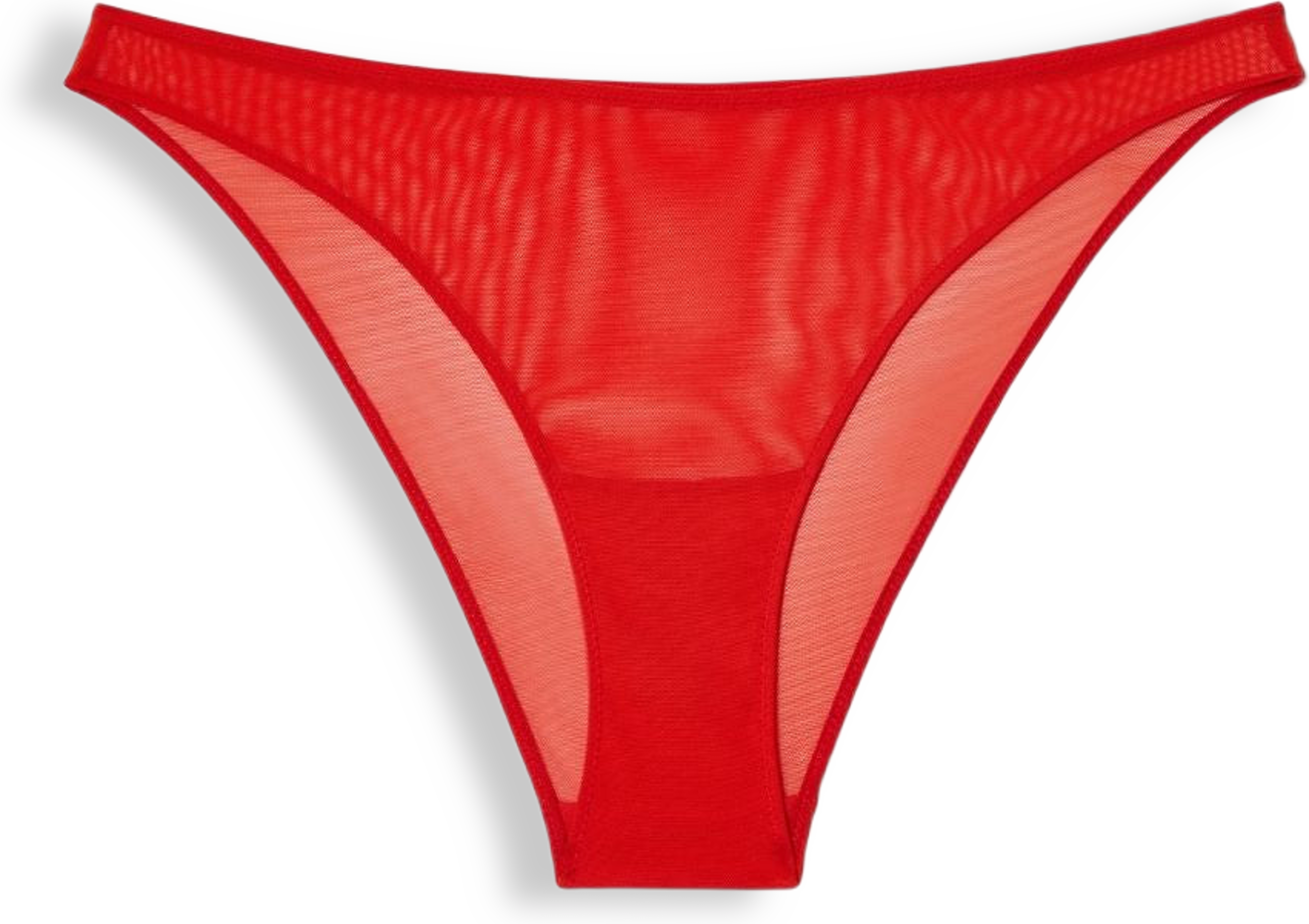 Mesh Bikini Briefs