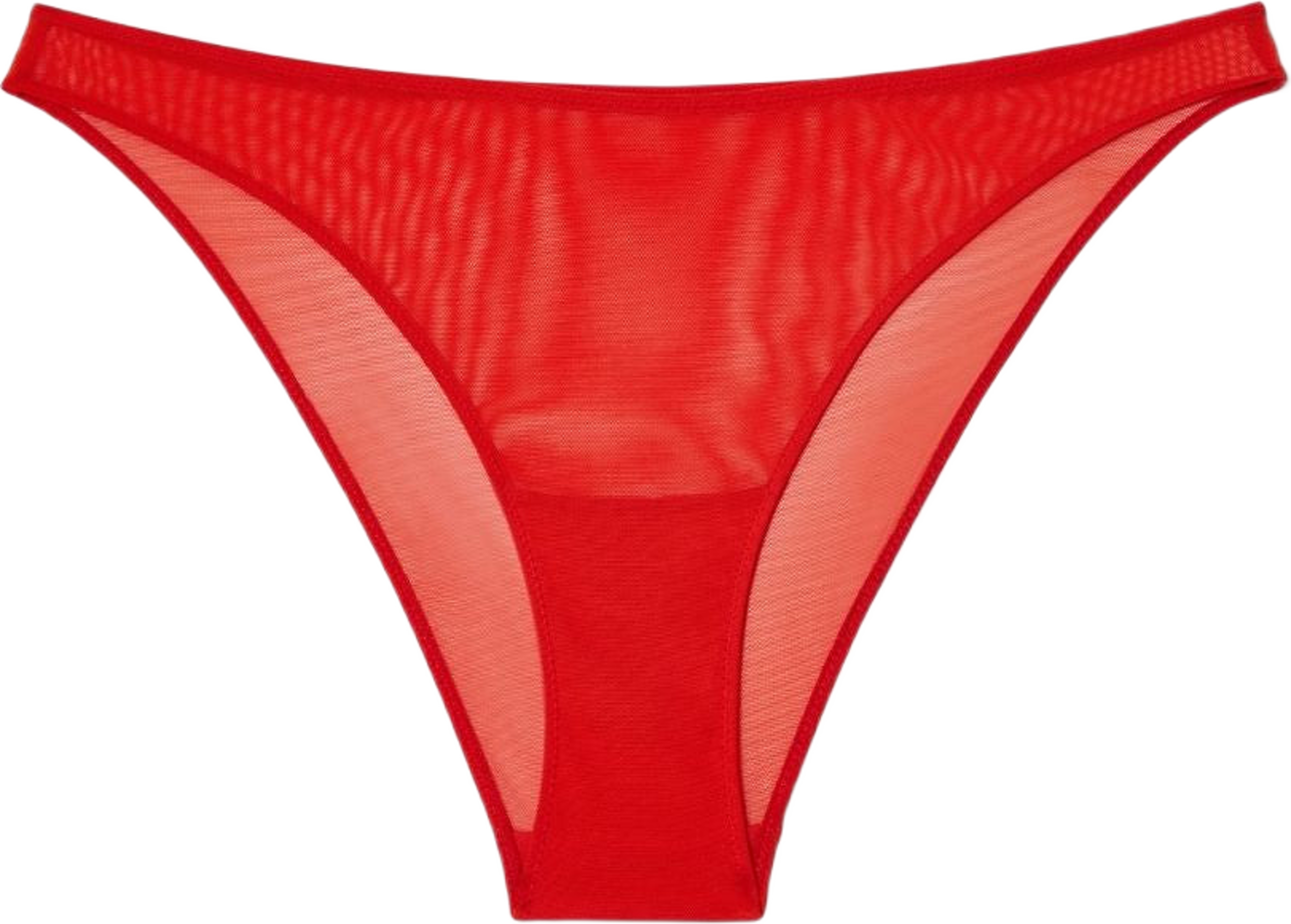 Mesh Bikini Briefs