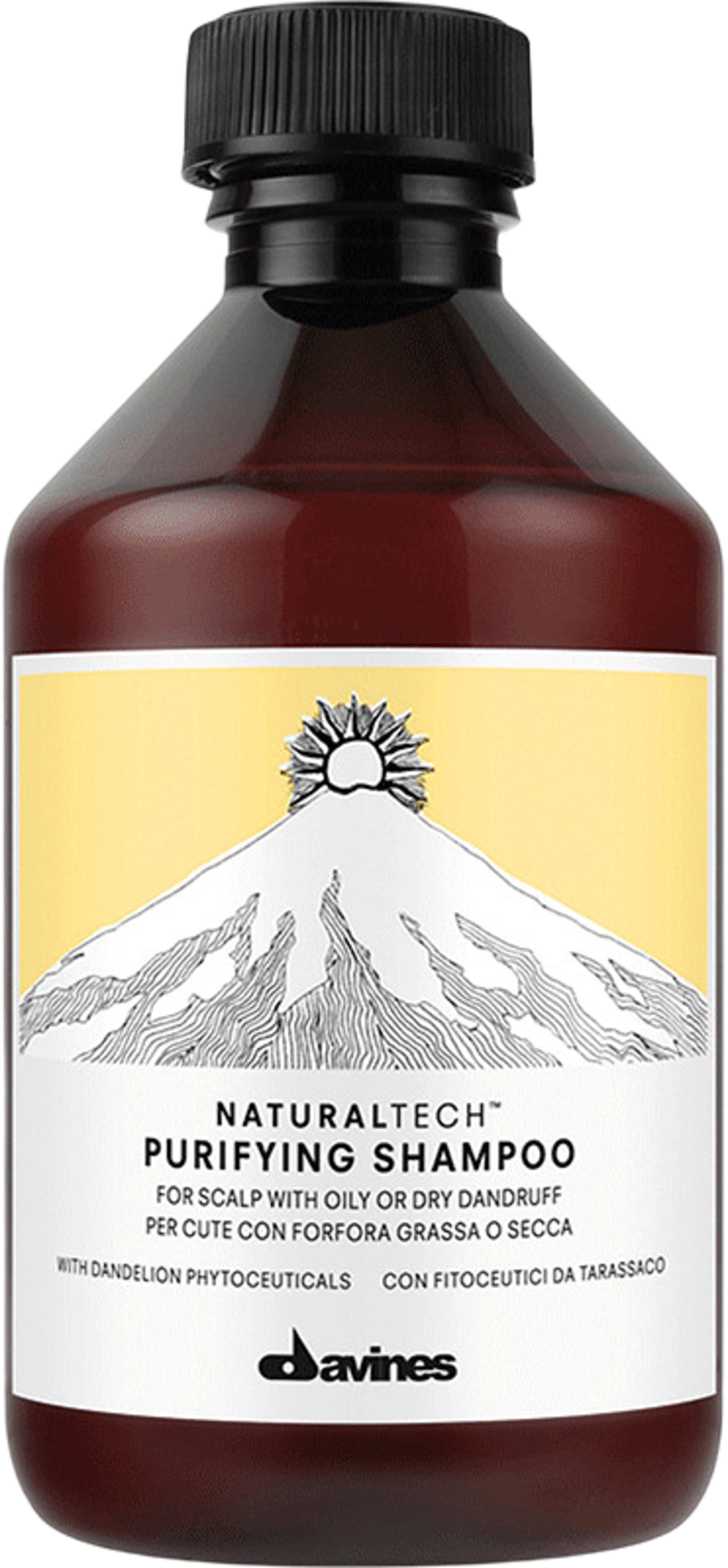Naturaltech Purifying Shampoo