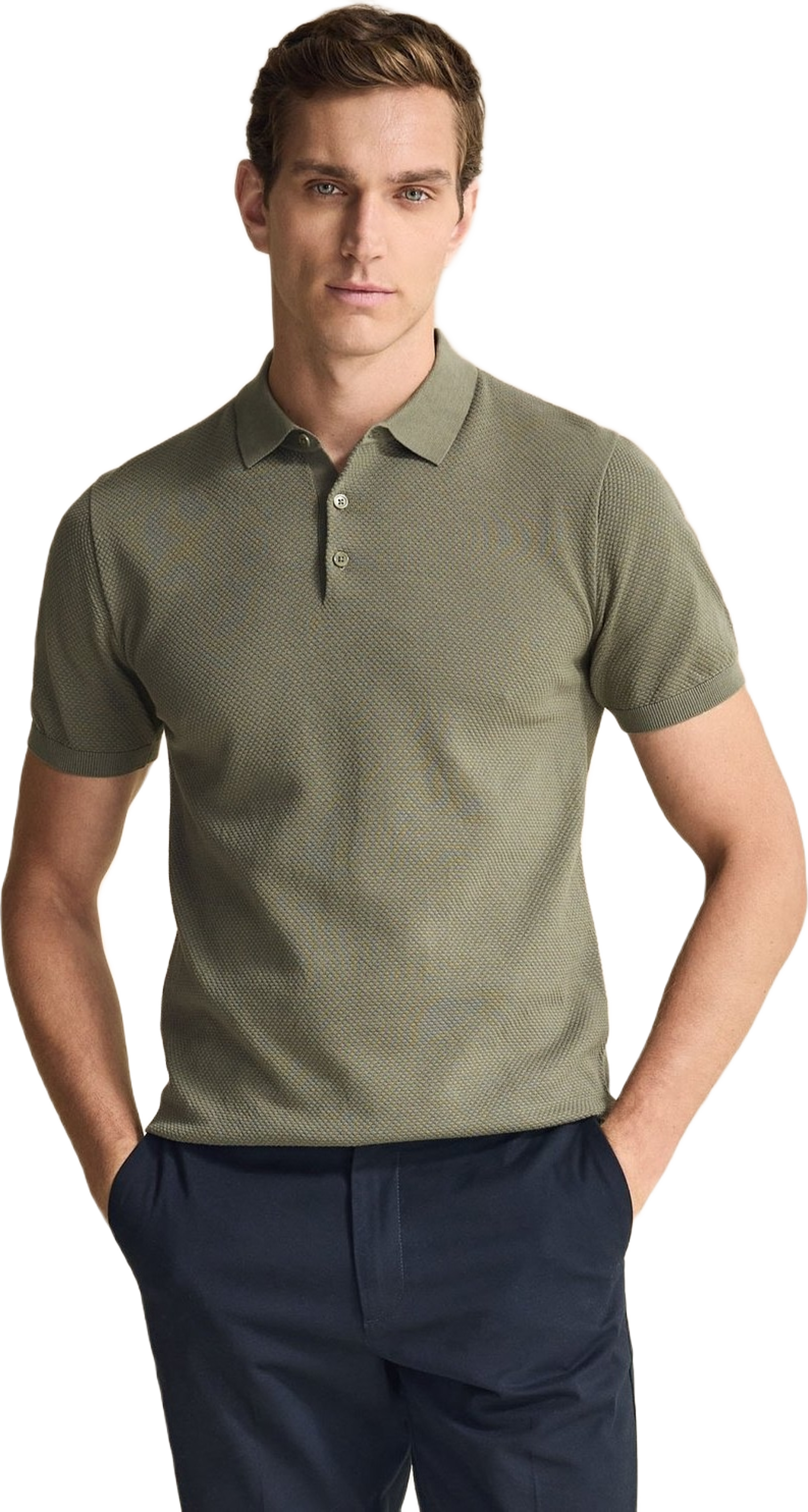 Cotton Texture Knitted Ss Polo Sweater (vincent)