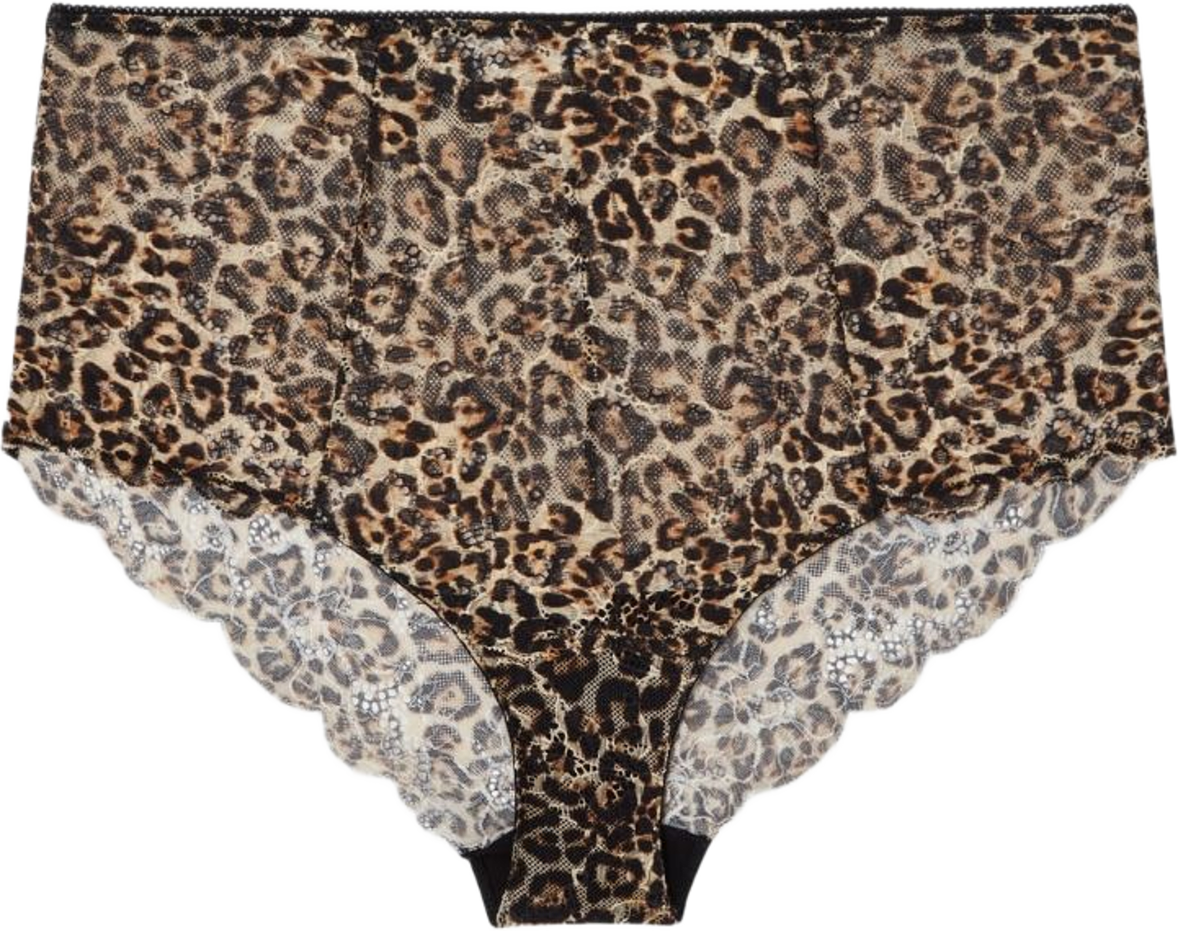 Lace Highwaist Briefs