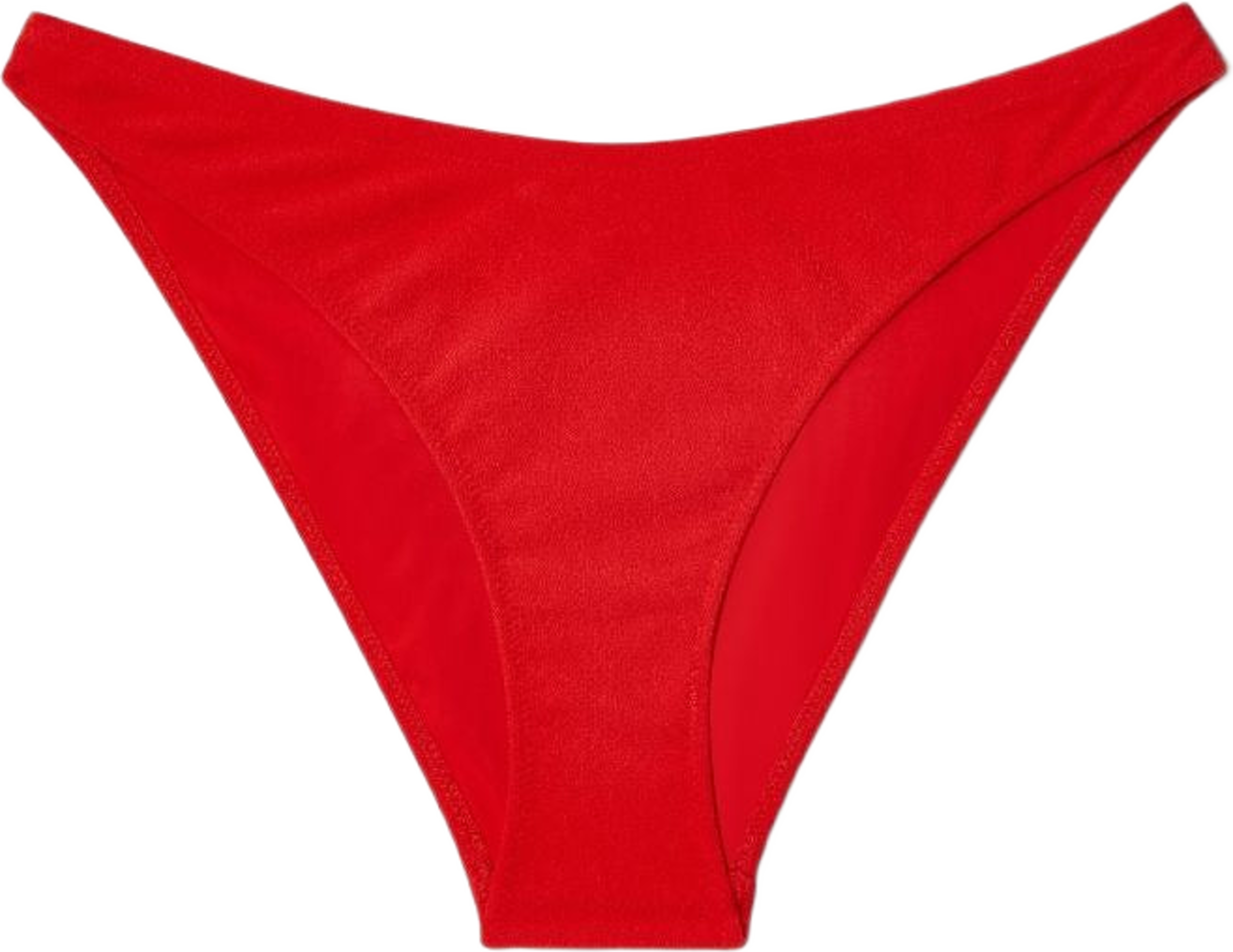 Bikini Briefs