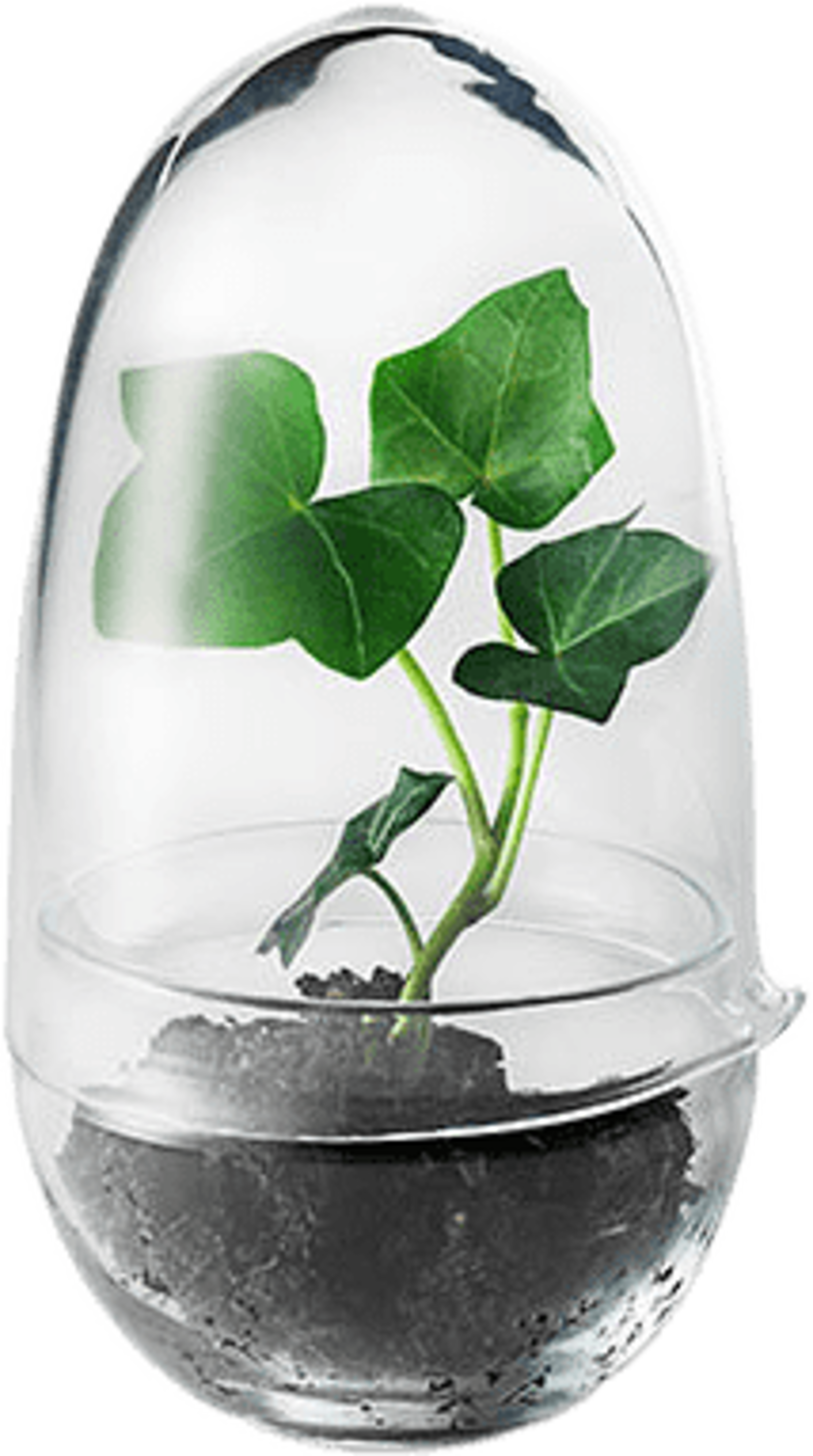 Växthus Grow, Small