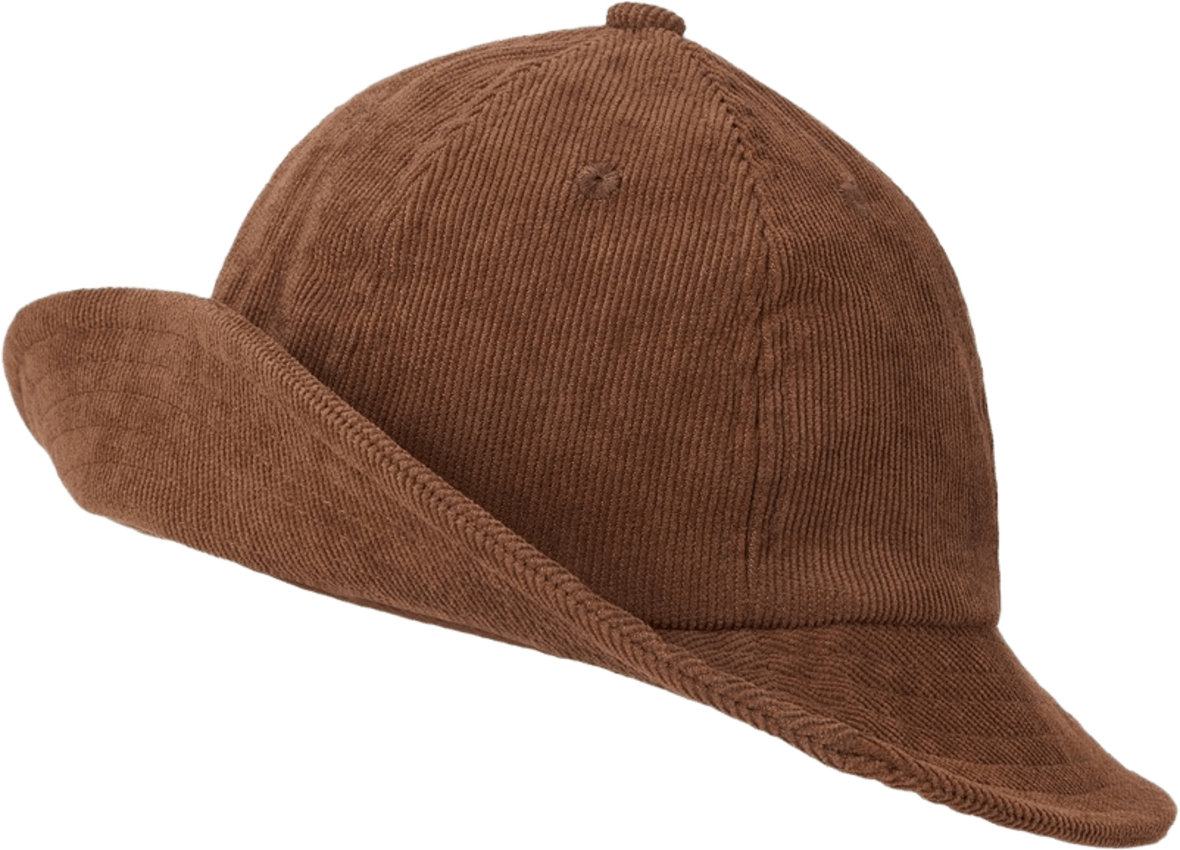 Sylvester Hat
