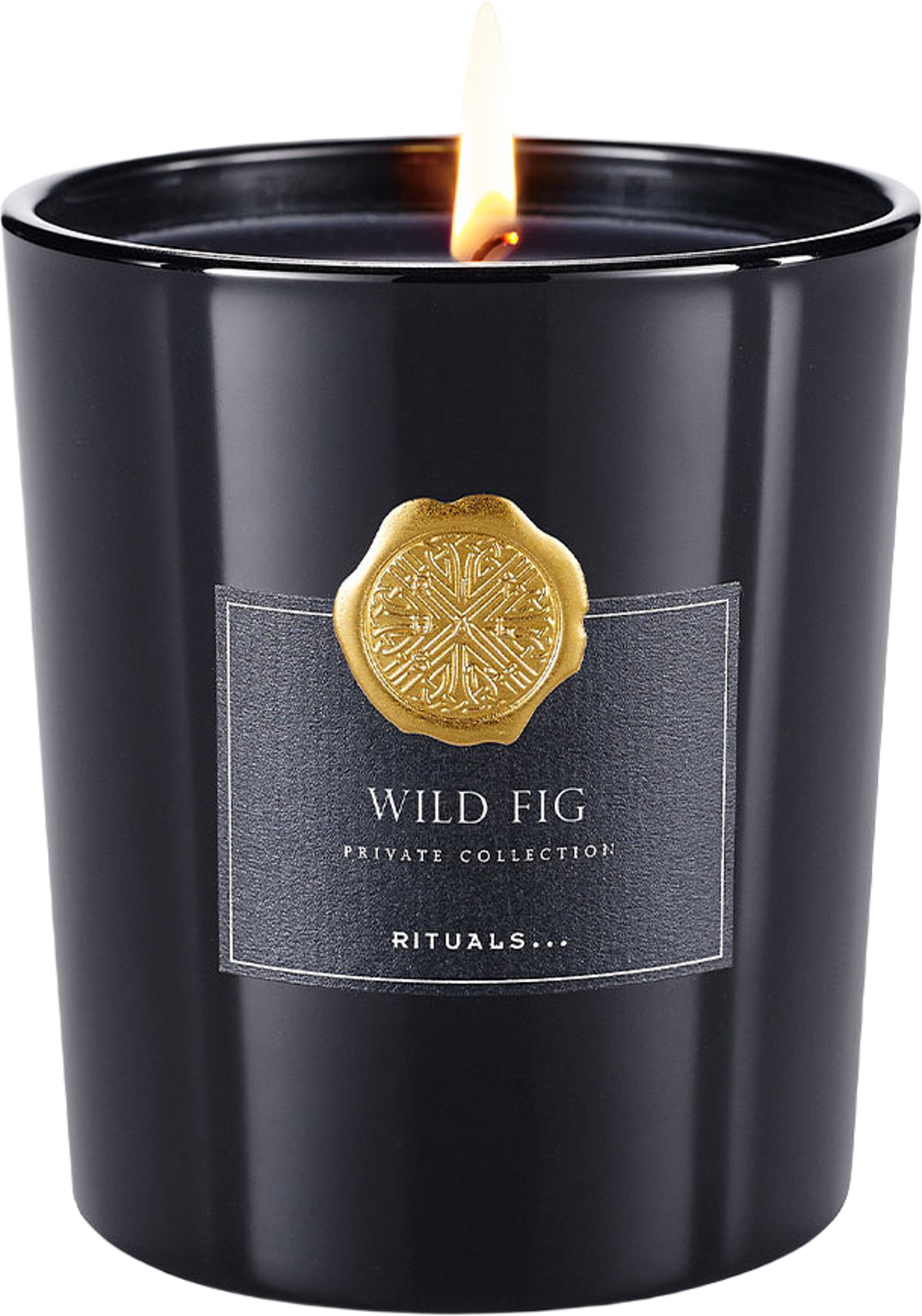 Wild Fig Scented Candle