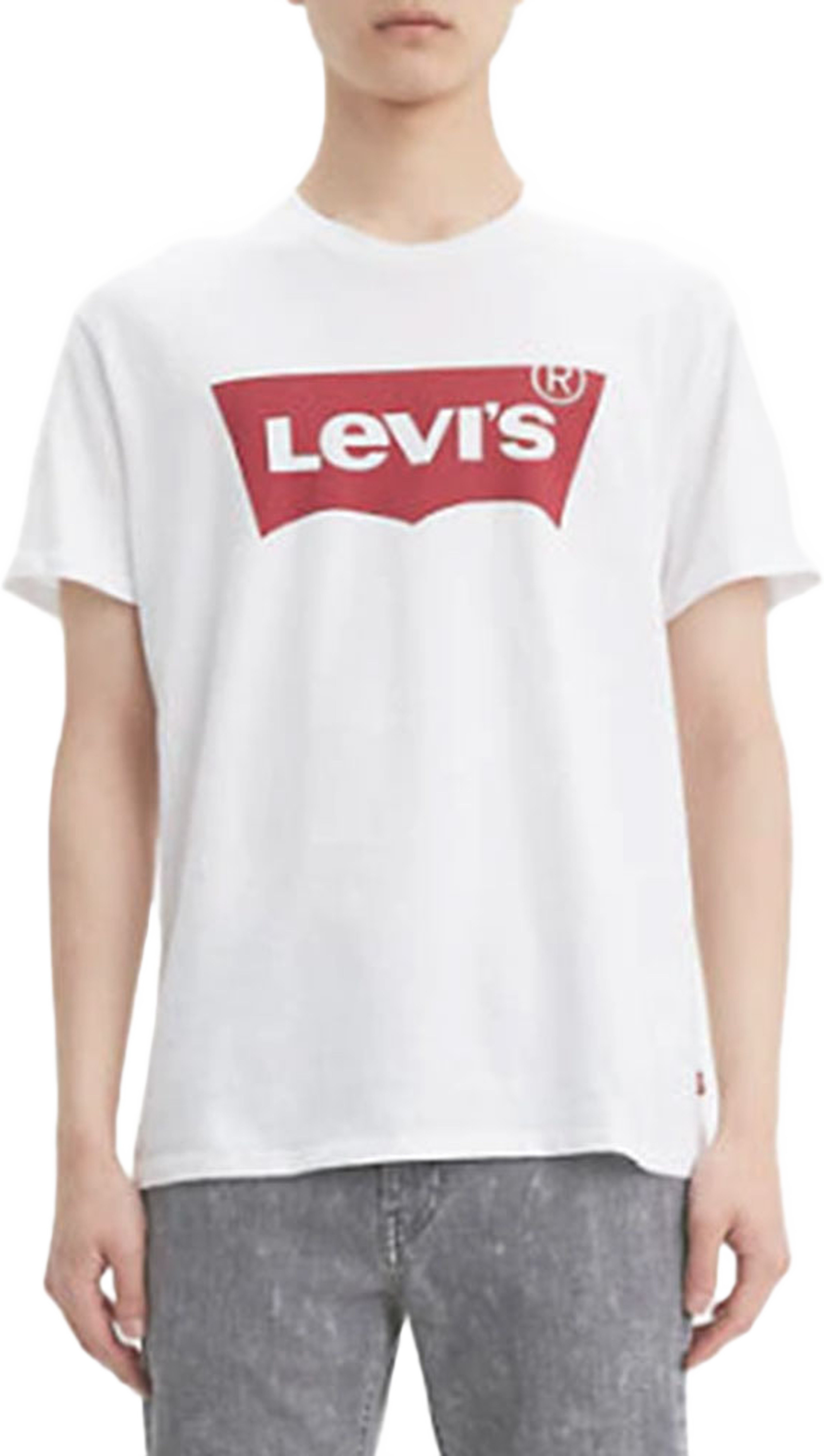 Graphic Set-In Neck Tee