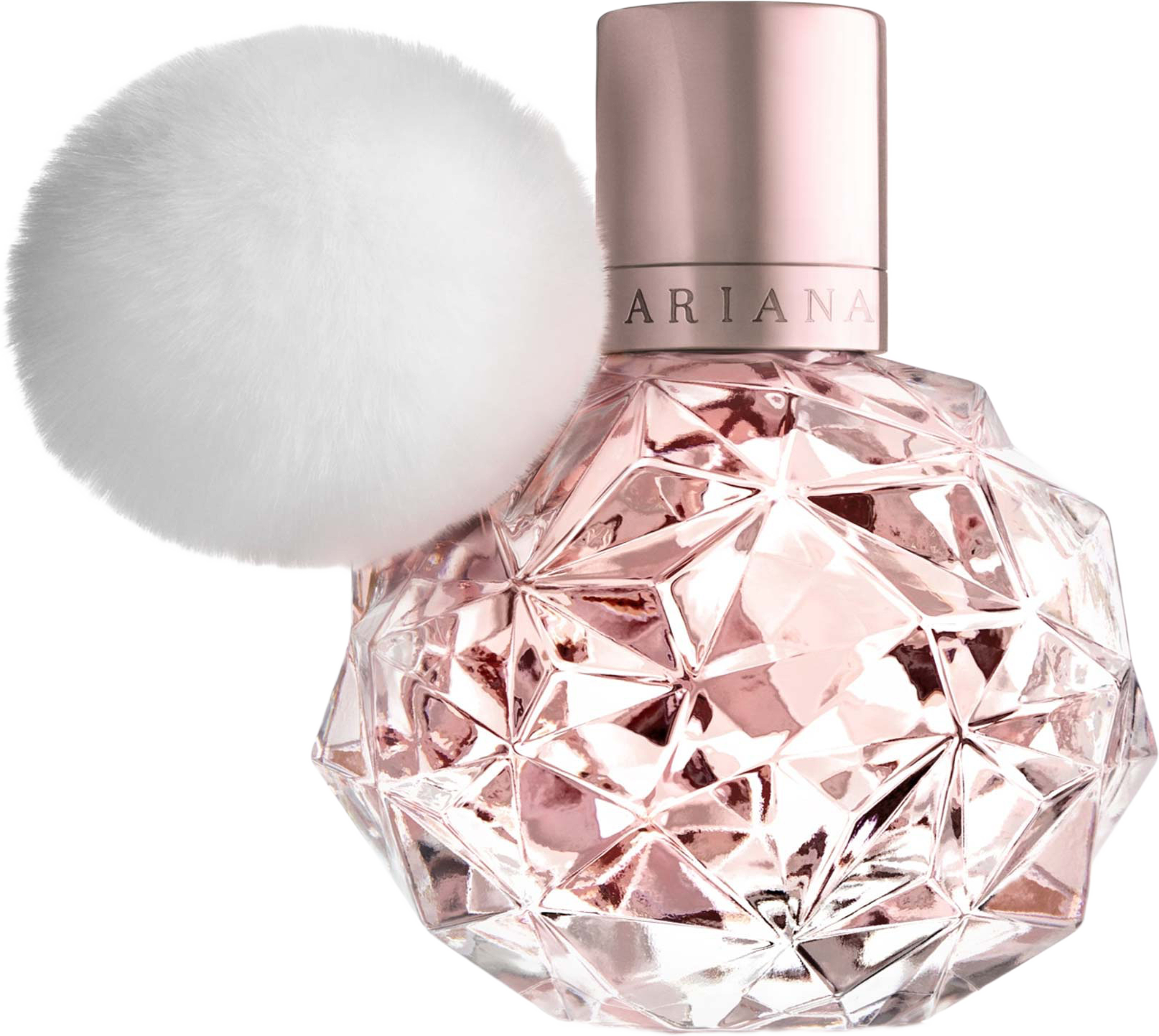 Ari EdP