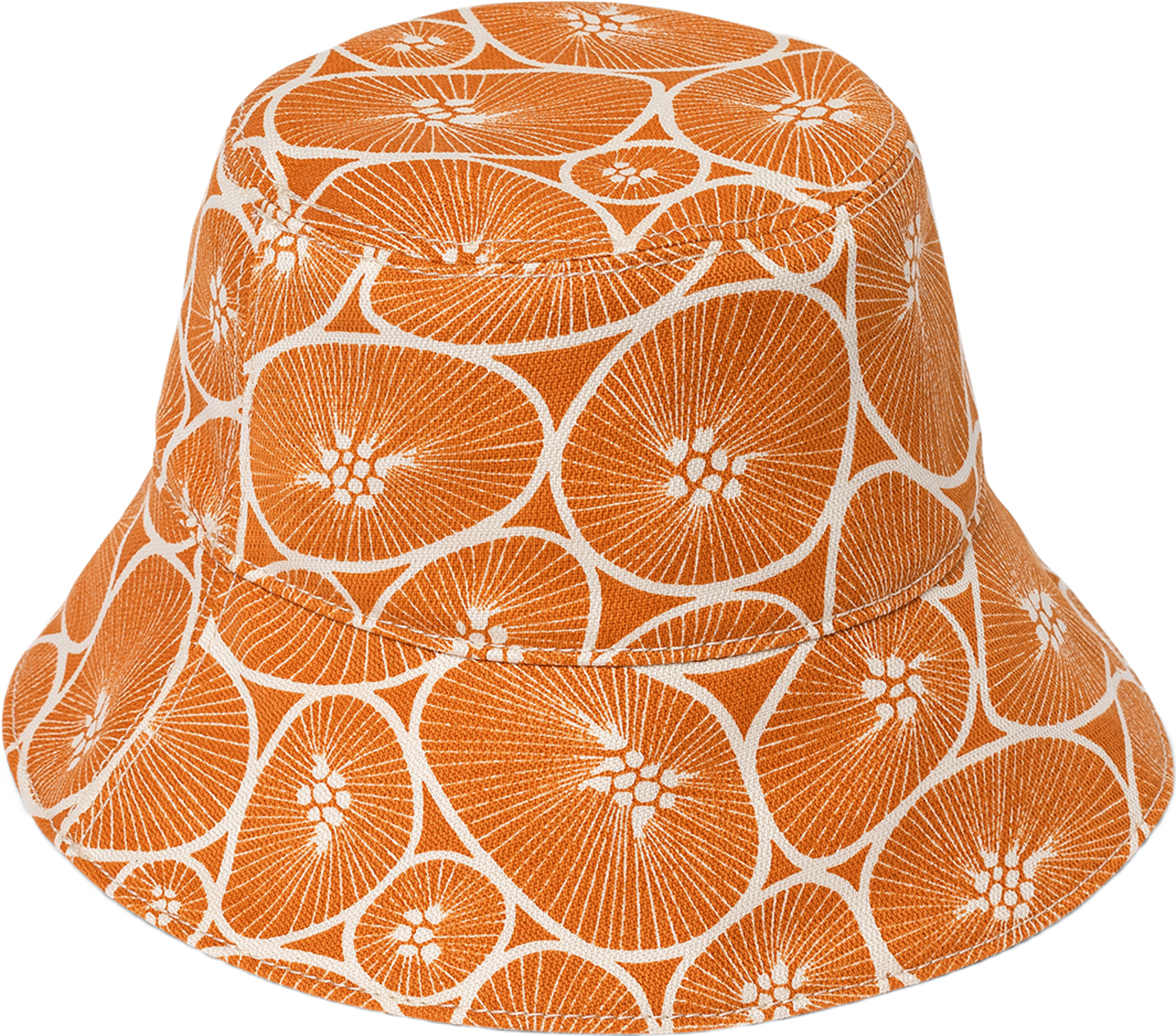 Solhatt Korall