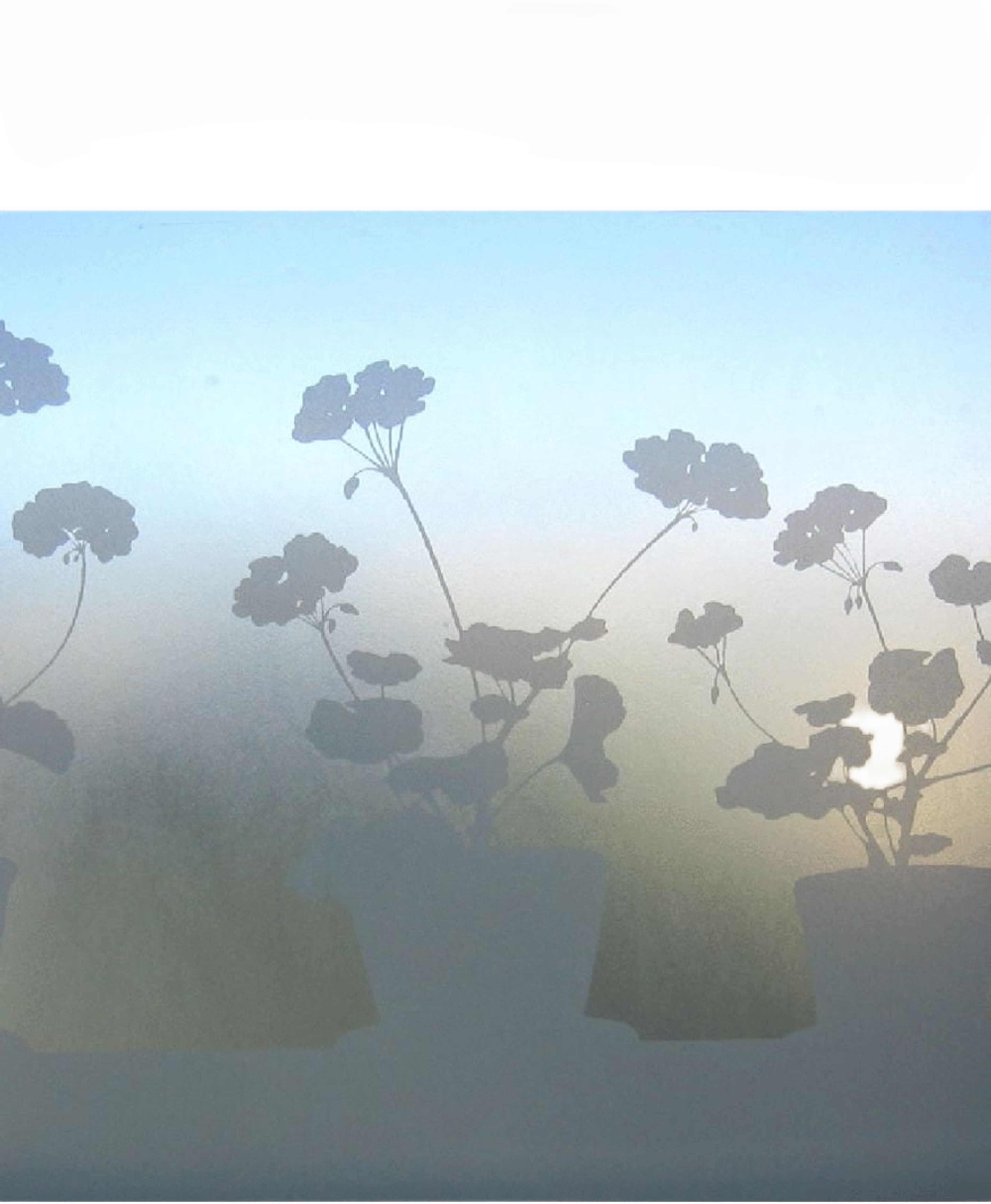 Fönstermönster Pelargon Liten, från Siluett Frost, i färgen vit. Klicka för att öppna bilden i stort format