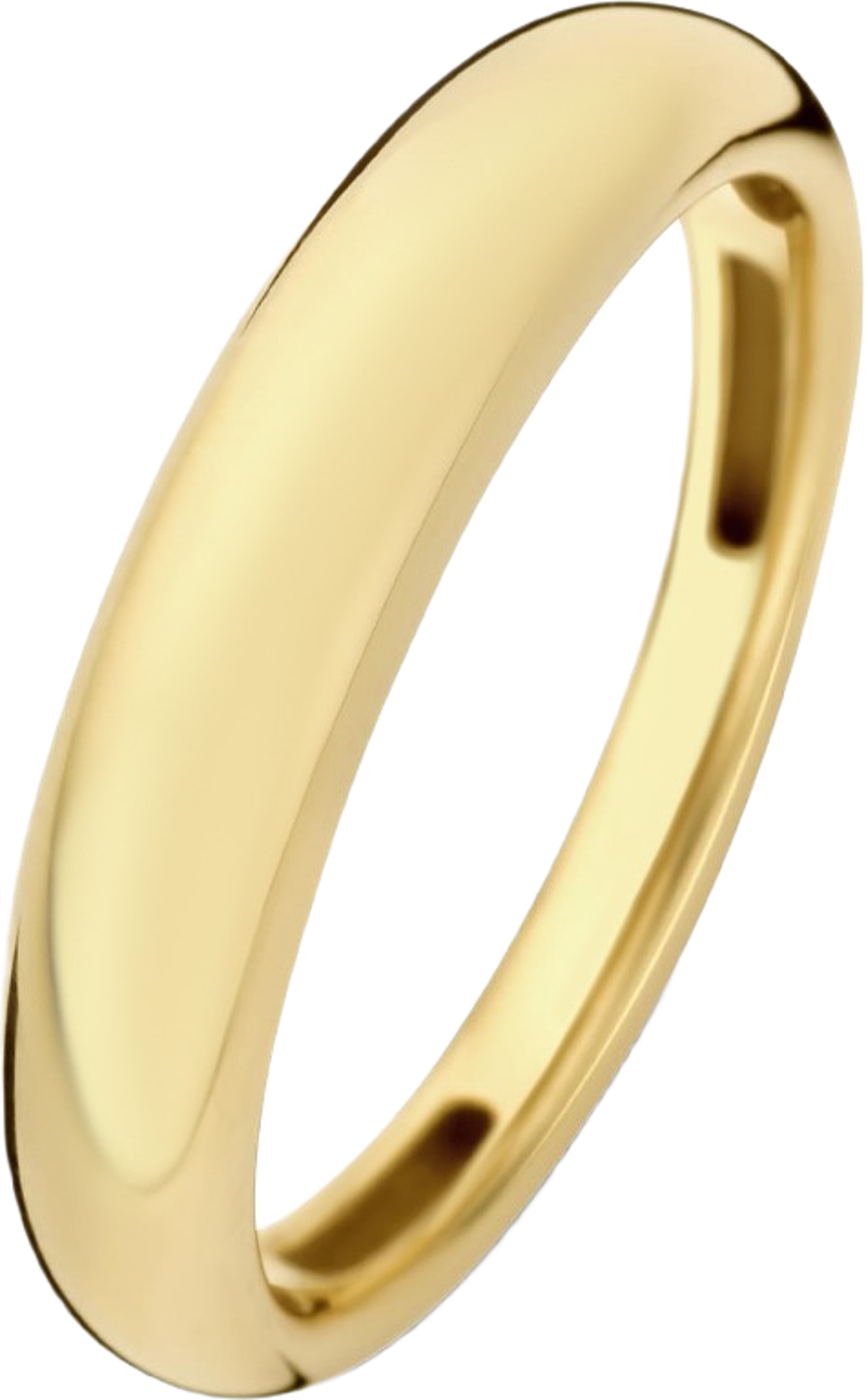 Rivoli 14 Karat Guld Ring
