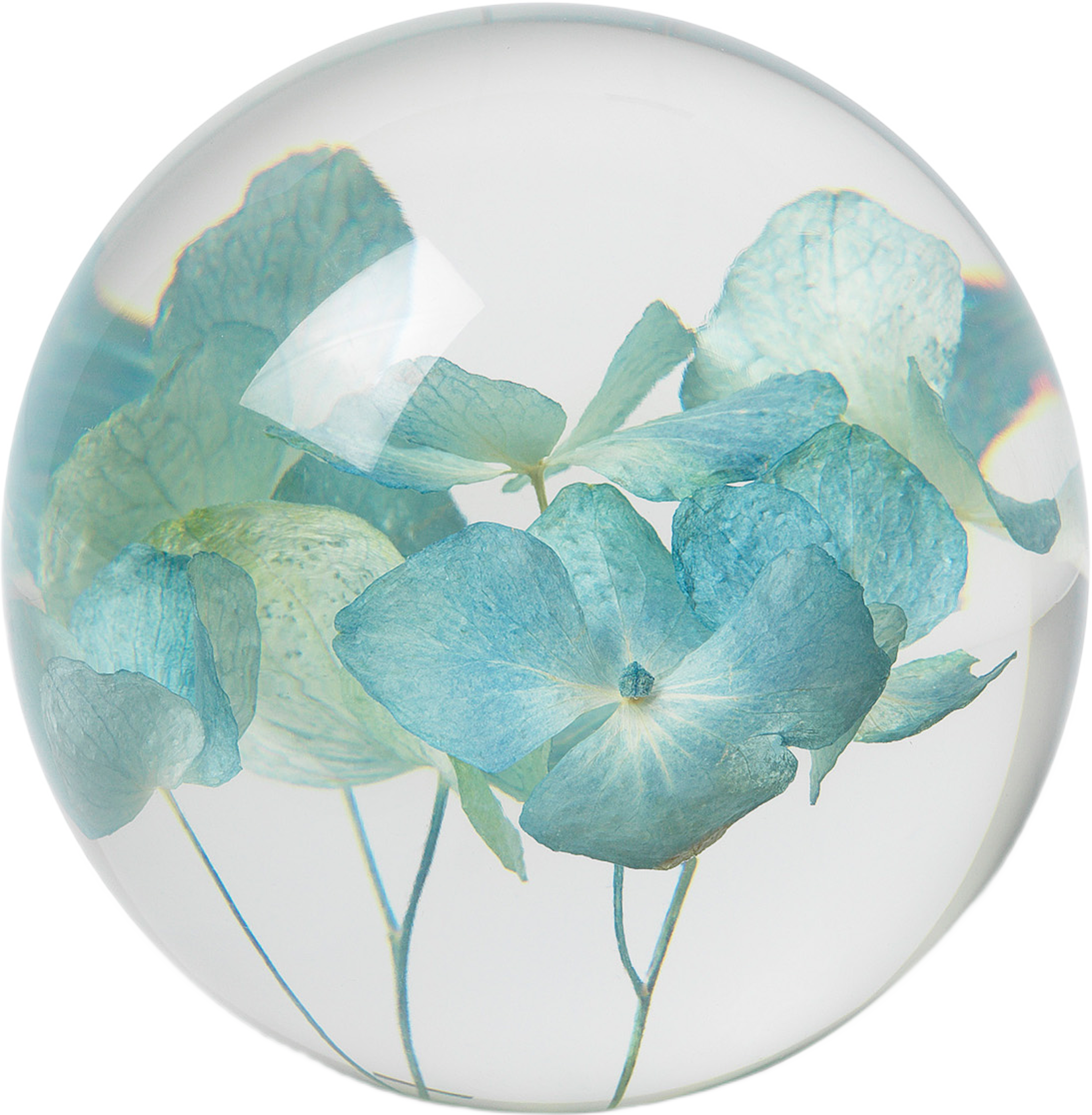 Hortensia Pappersvikt, Brevtyngd