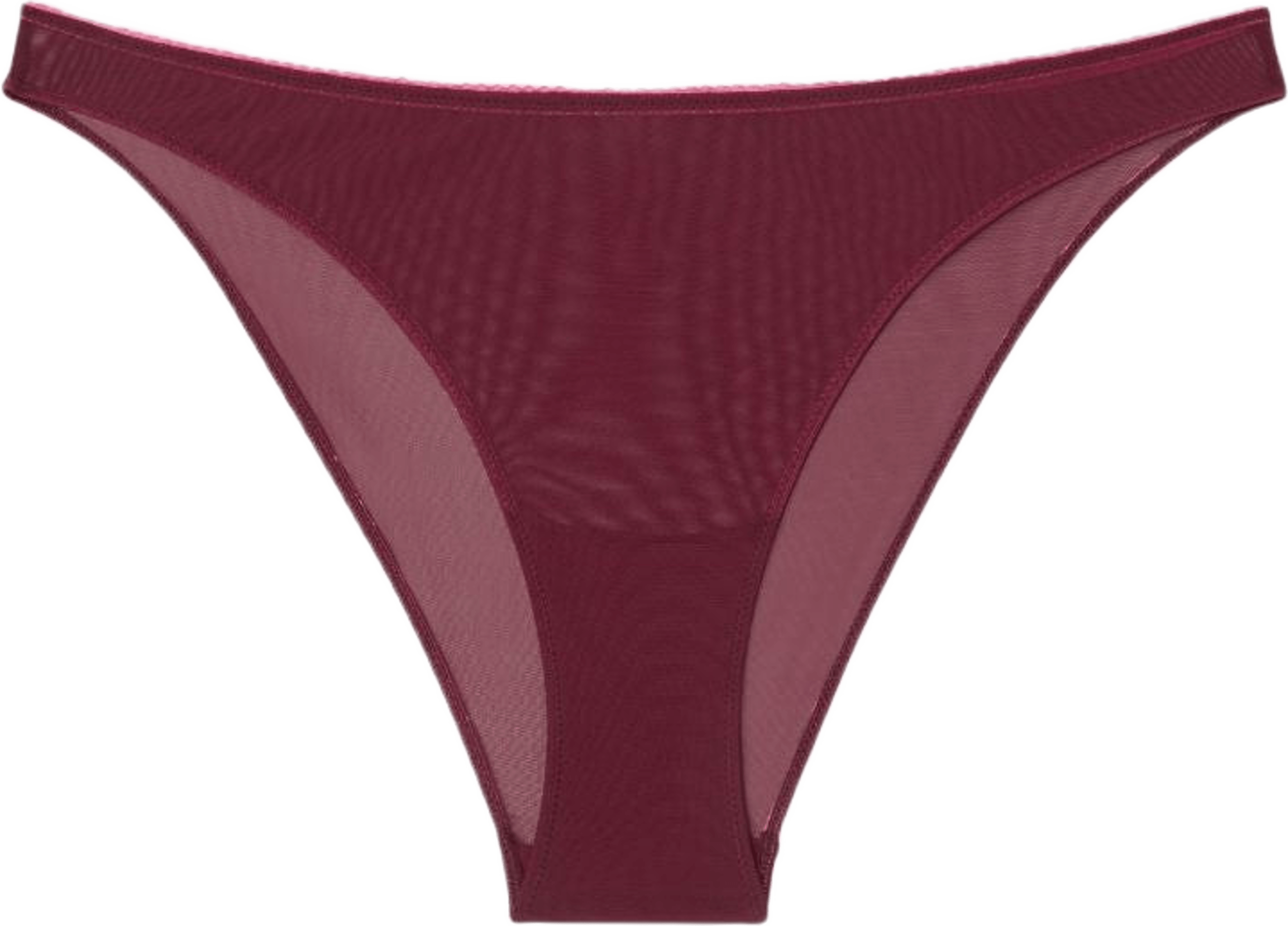 Mesh Bikini Briefs