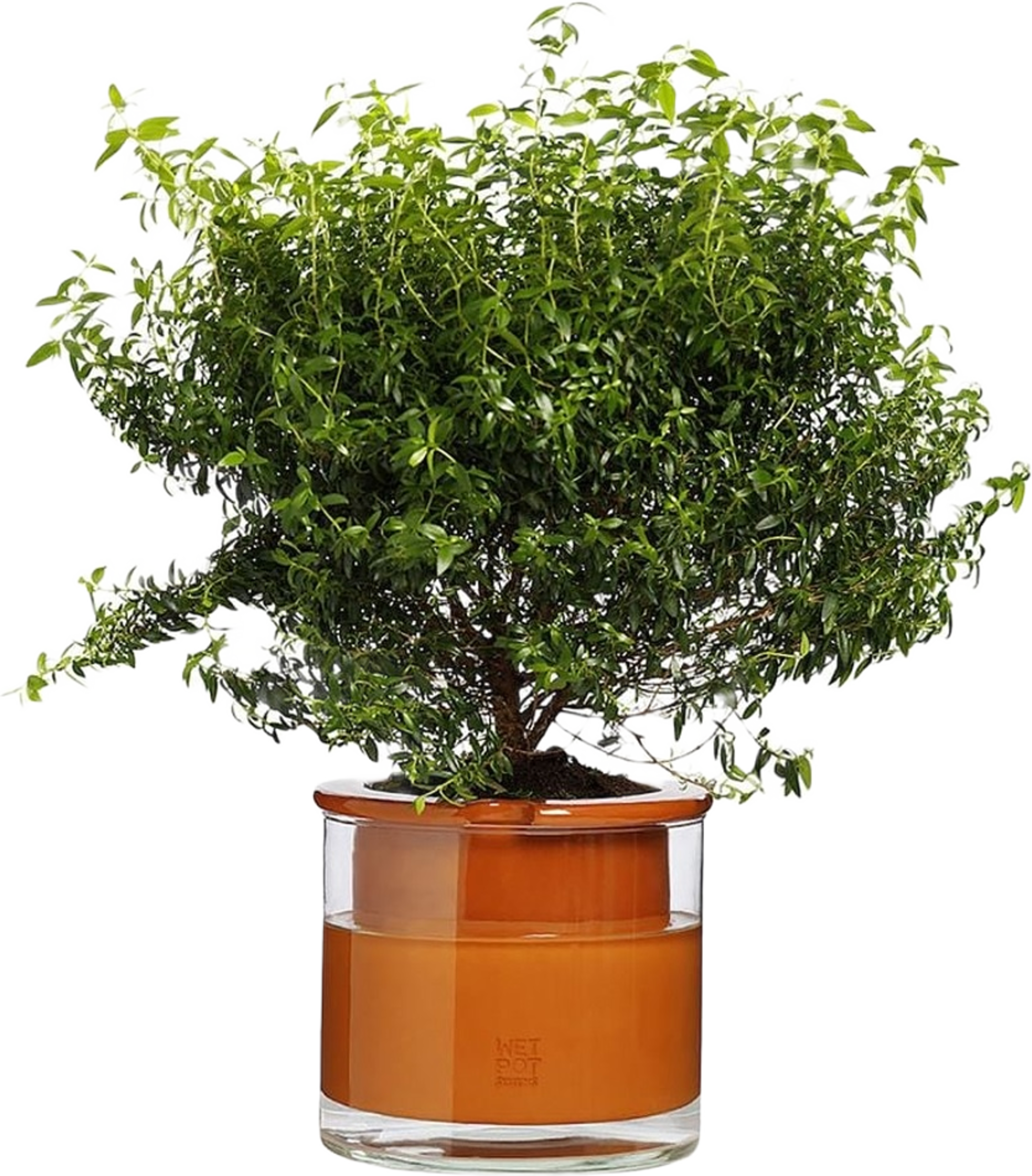 Kruka Wet Pot M, från Wet pot systems, i färgen terracotta. Klicka för att öppna bilden i stort format