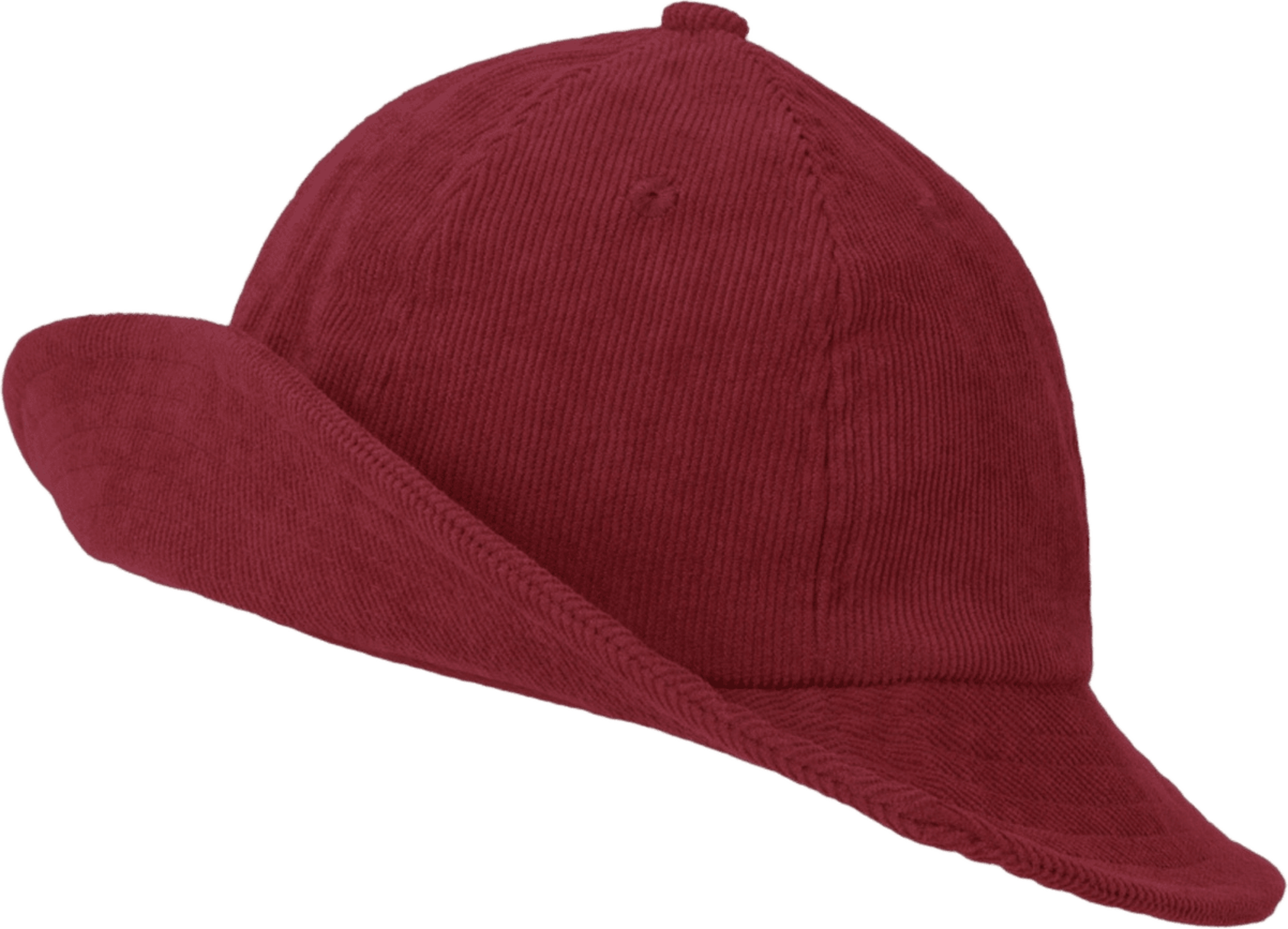 Sylvester Hat