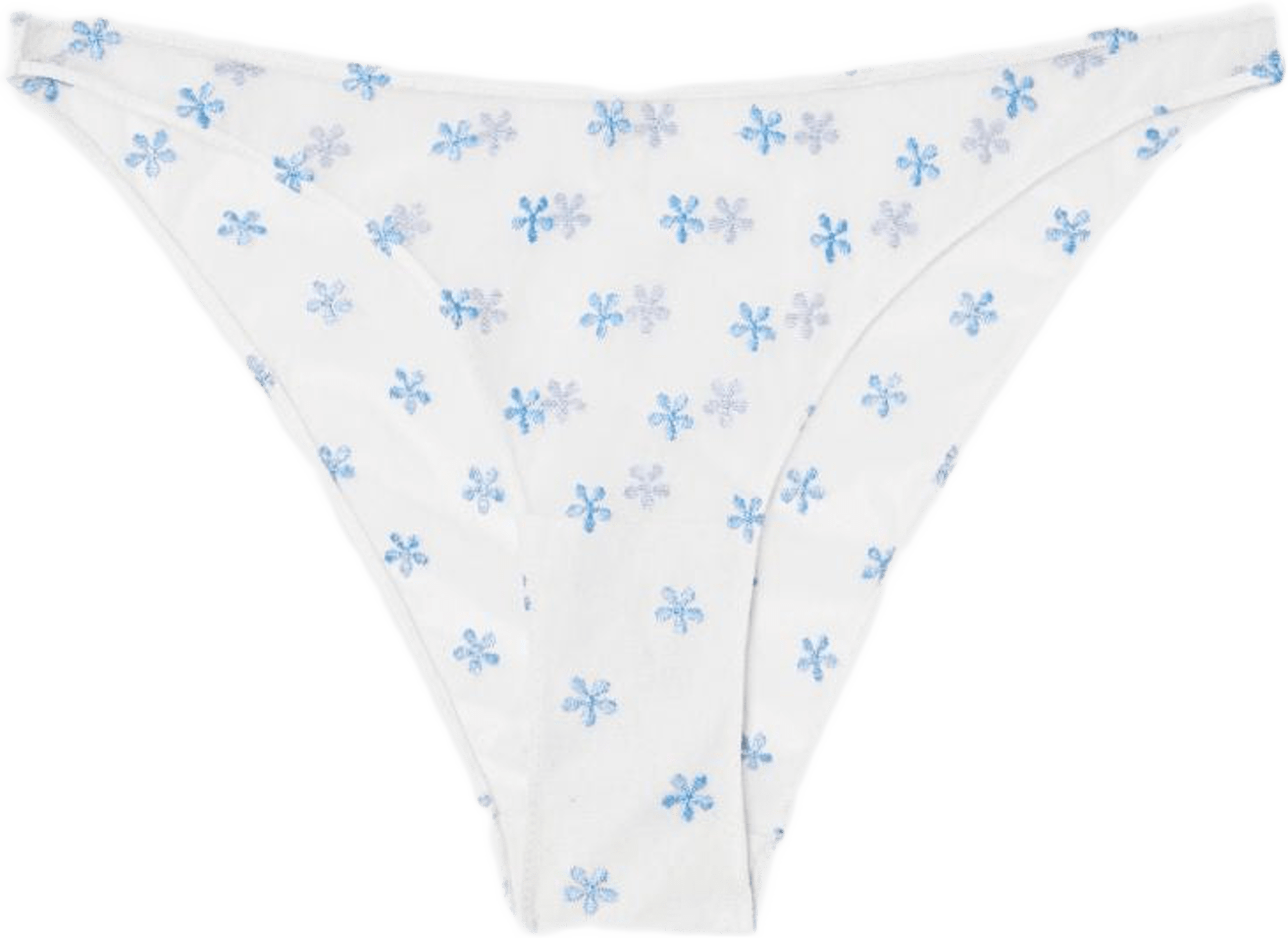 Mesh Bikini Briefs