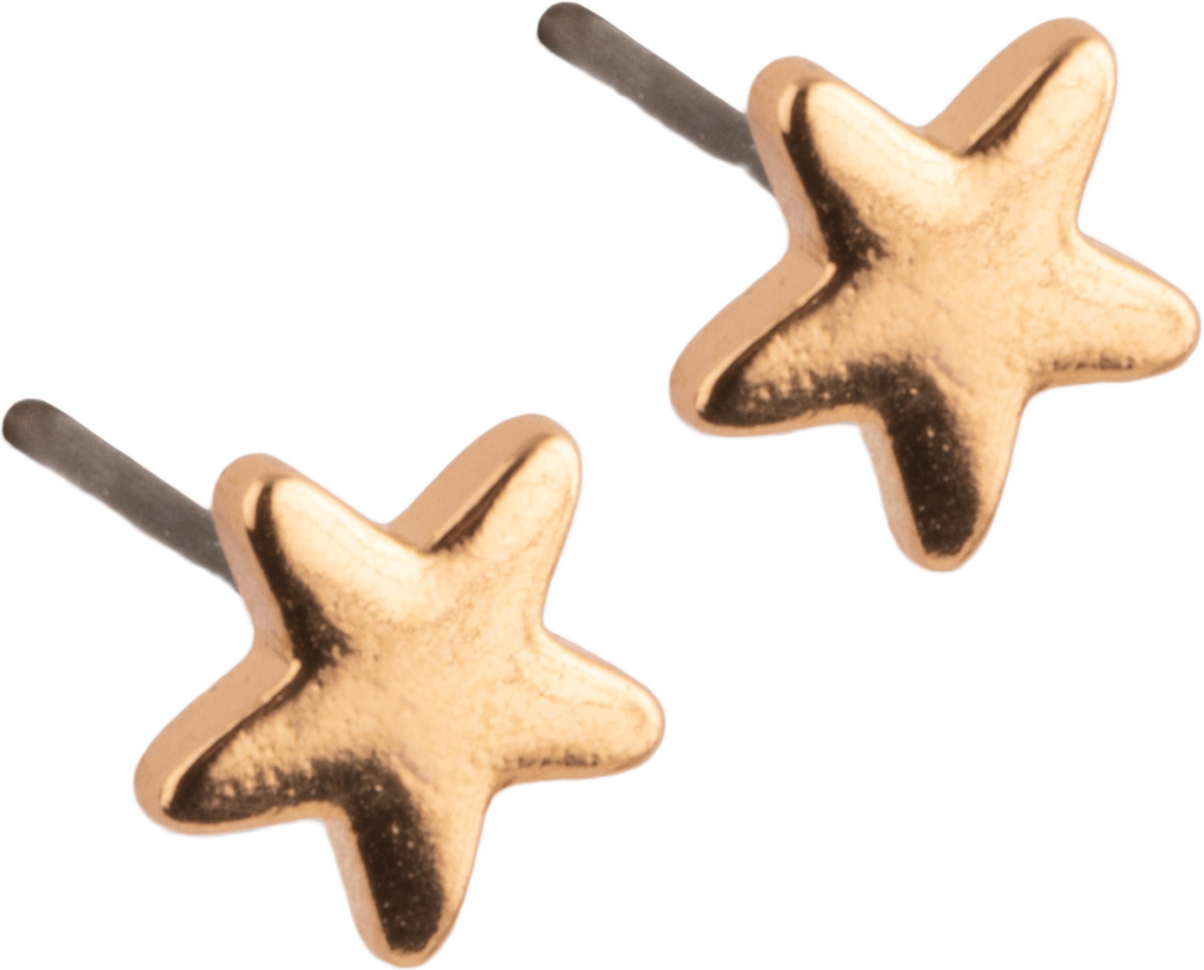 Star Örhänge Stud