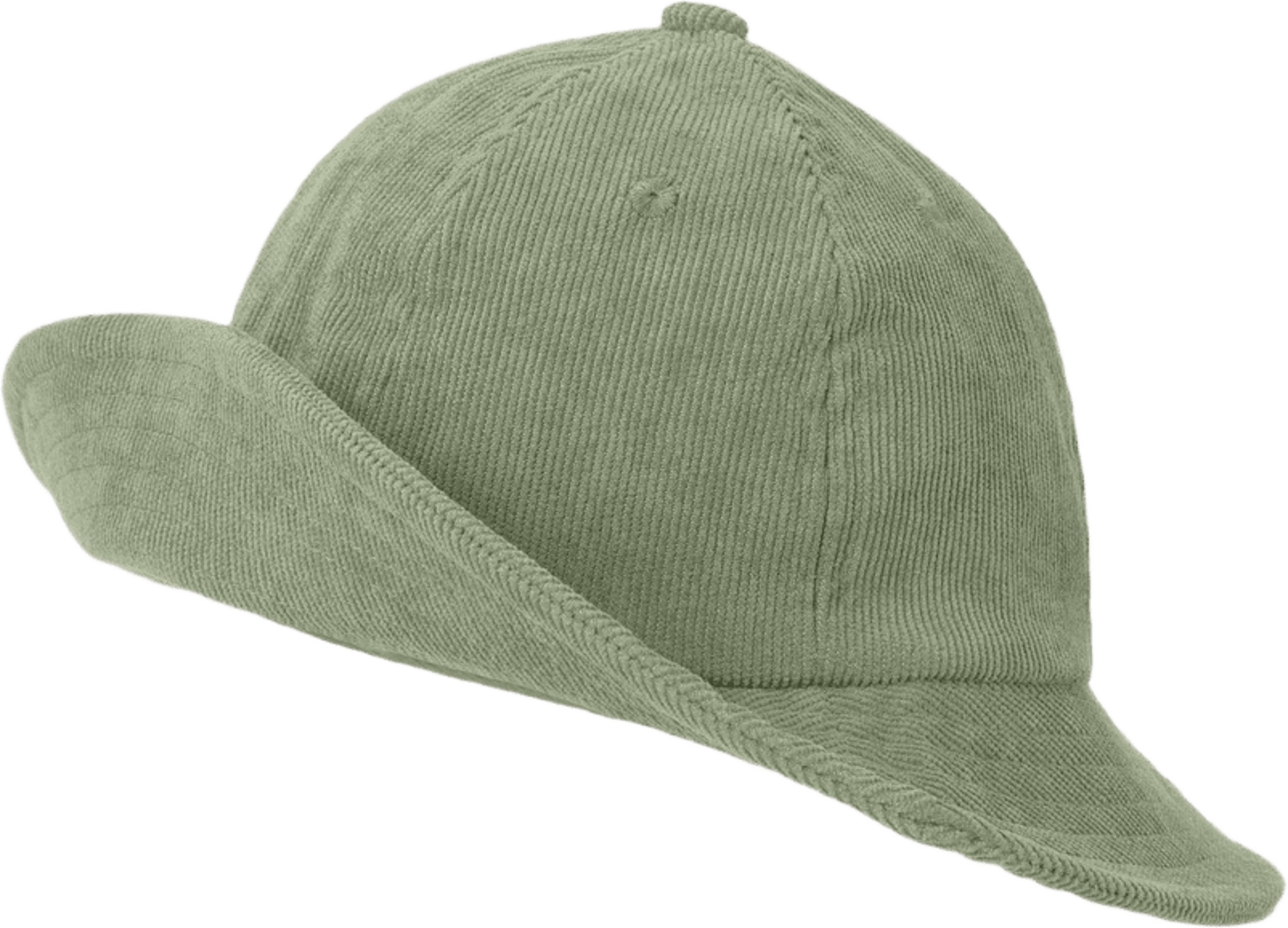 Sylvester Hat
