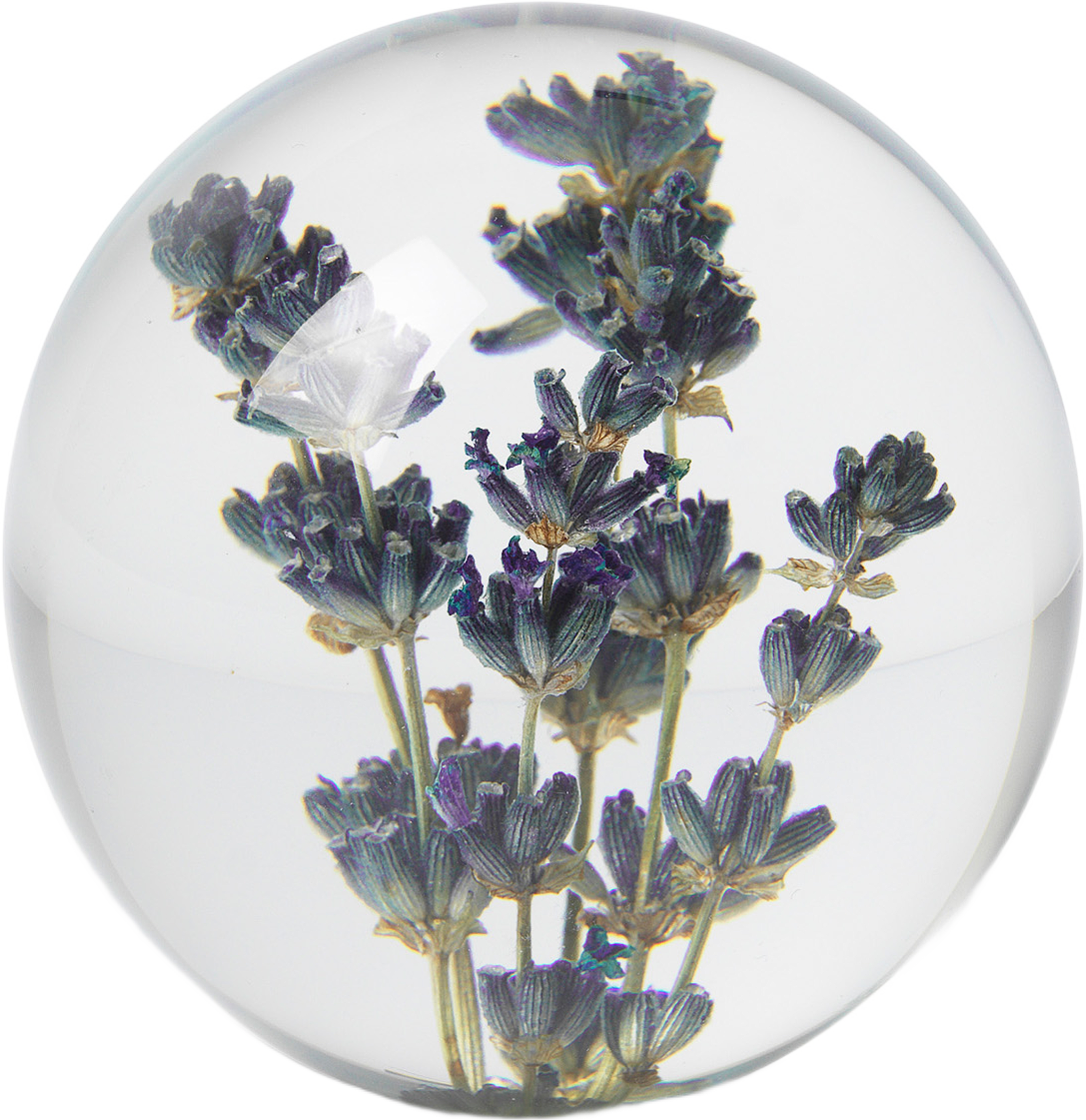 Lavender Pappersvikt, Brevtyngd