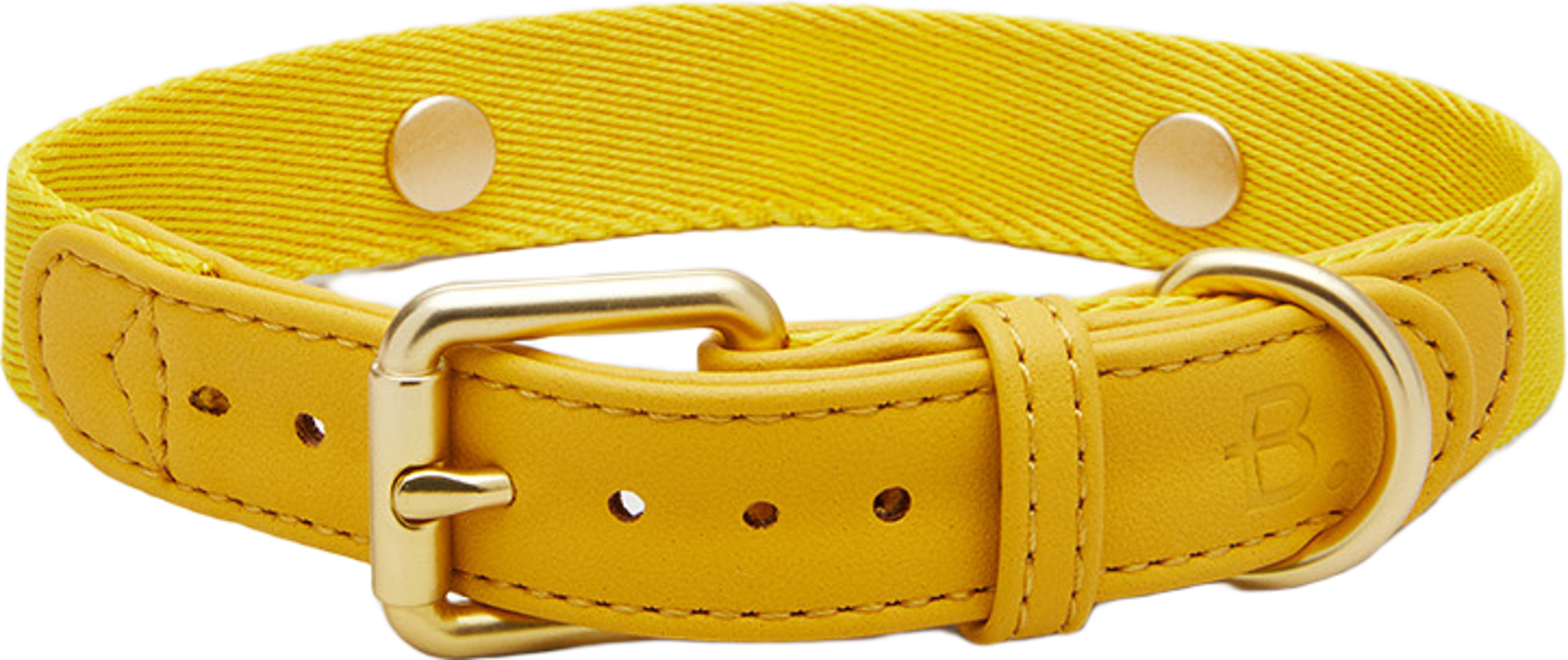 Veganskt Läder Hundhalsband