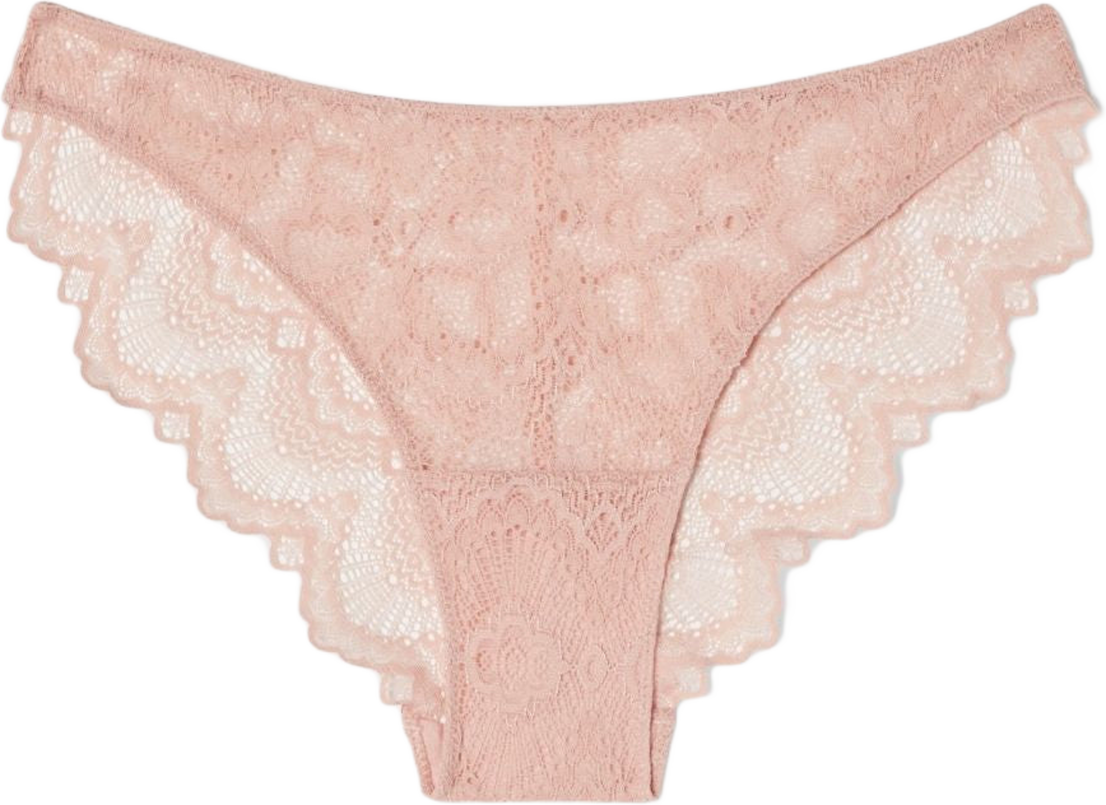 Lace Bikini Briefs