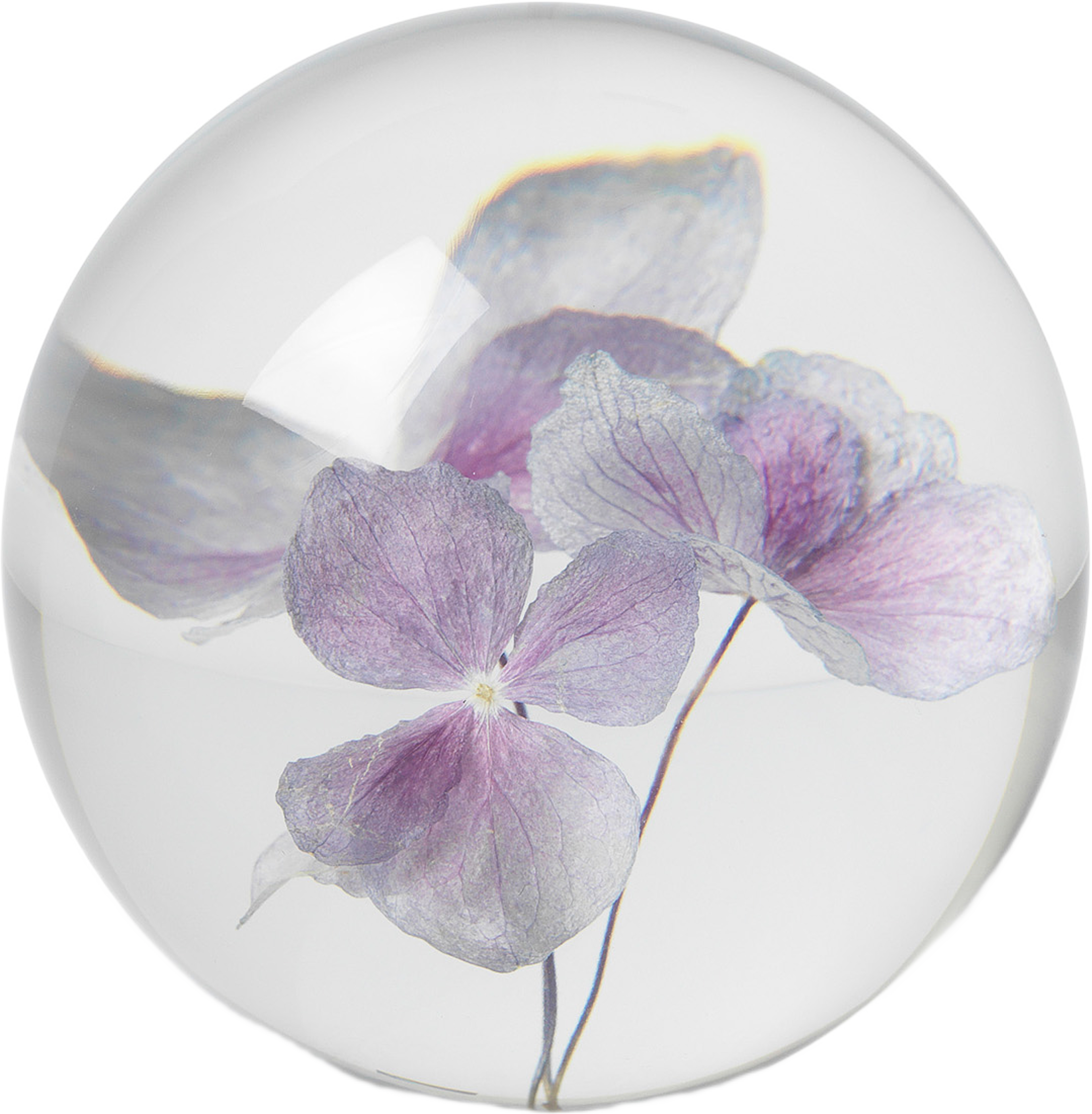 Hortensia Pappersvikt, Brevtyngd