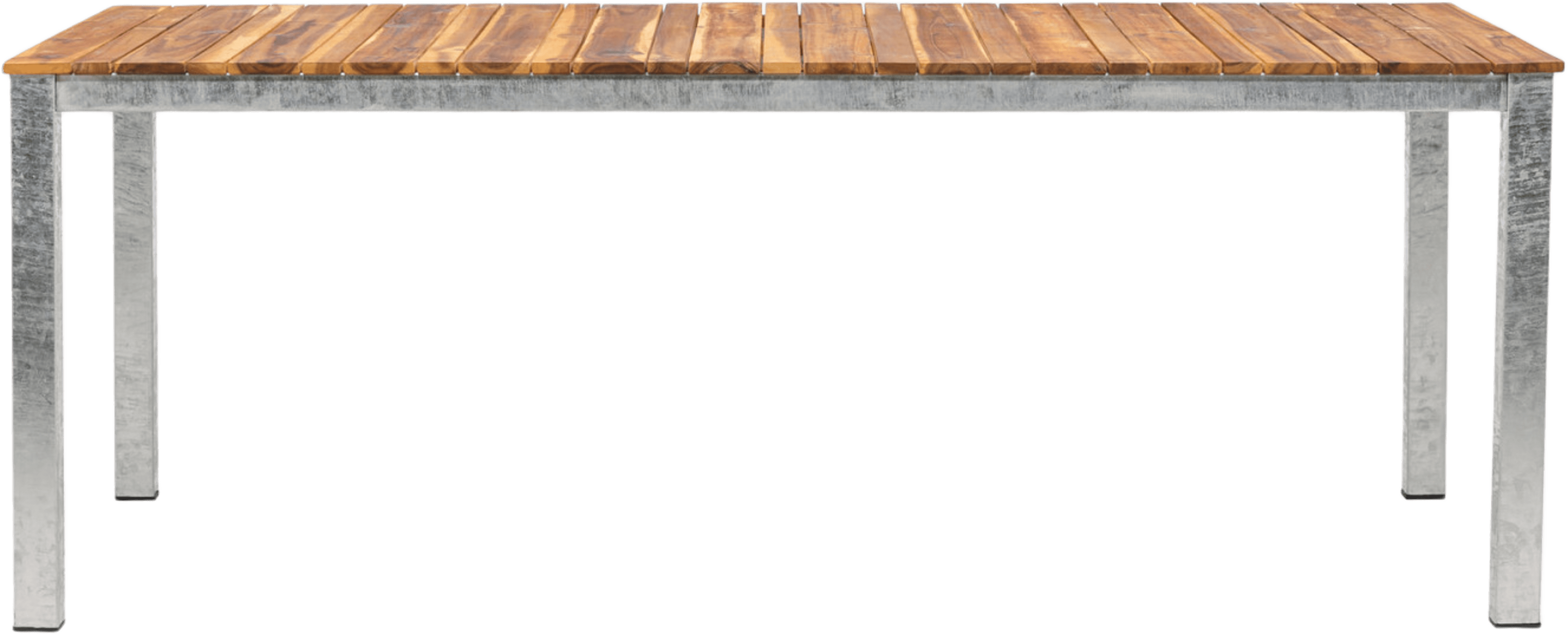 Zenia Bord