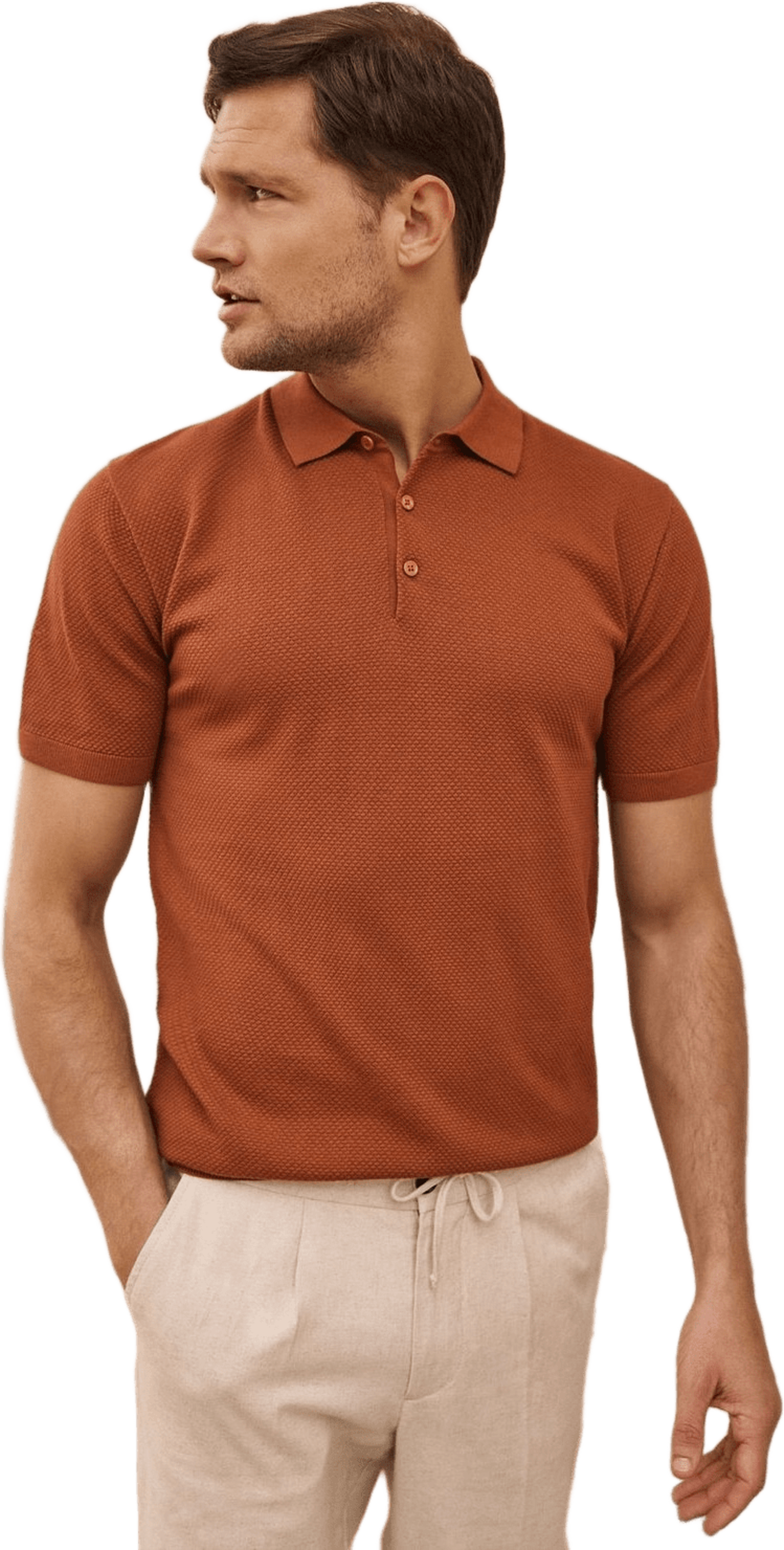 Cotton Texture Knitted Ss Polo Sweater (vincent)