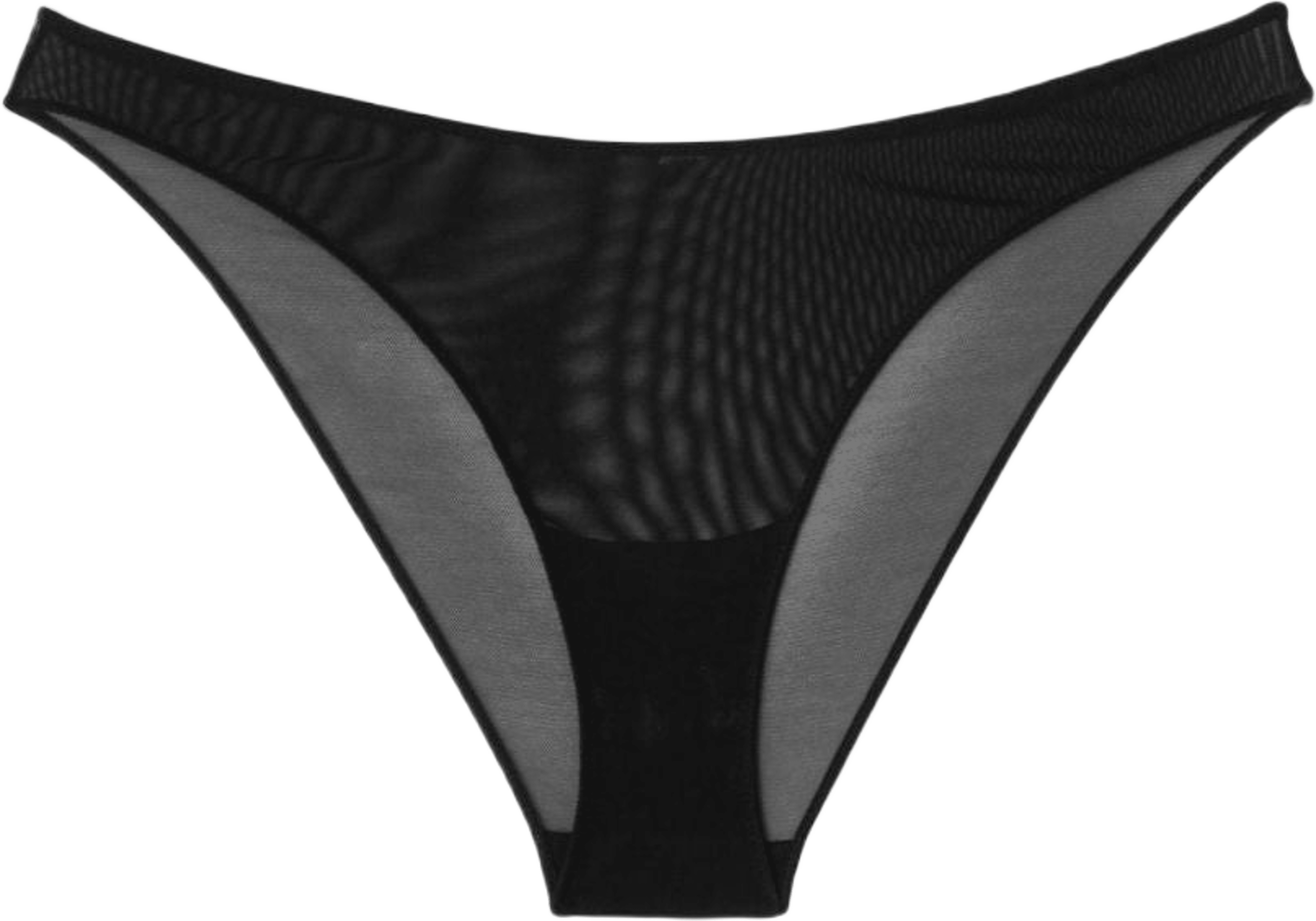 Mesh Bikini Briefs