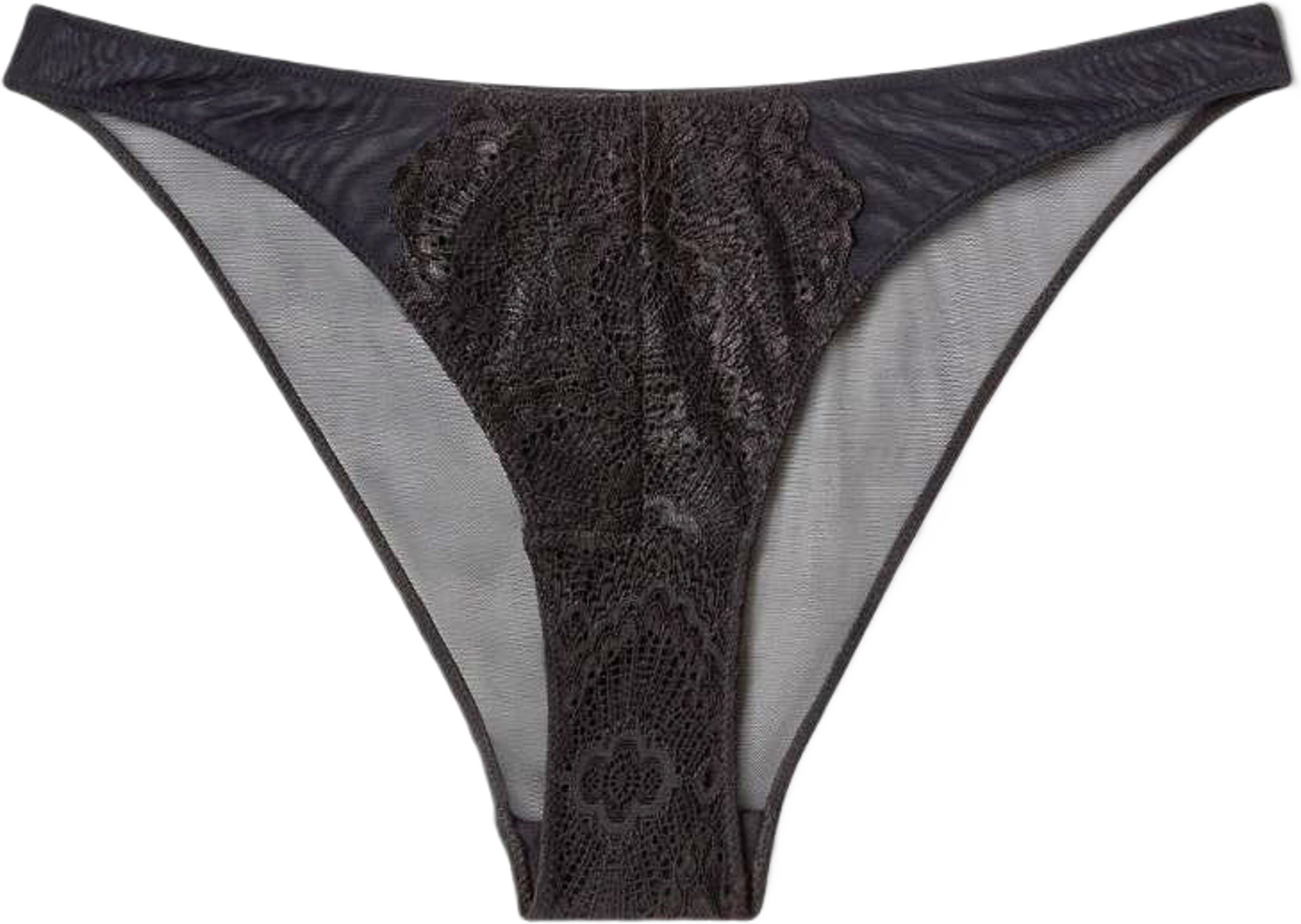 Lace Mesh Bikini Briefs