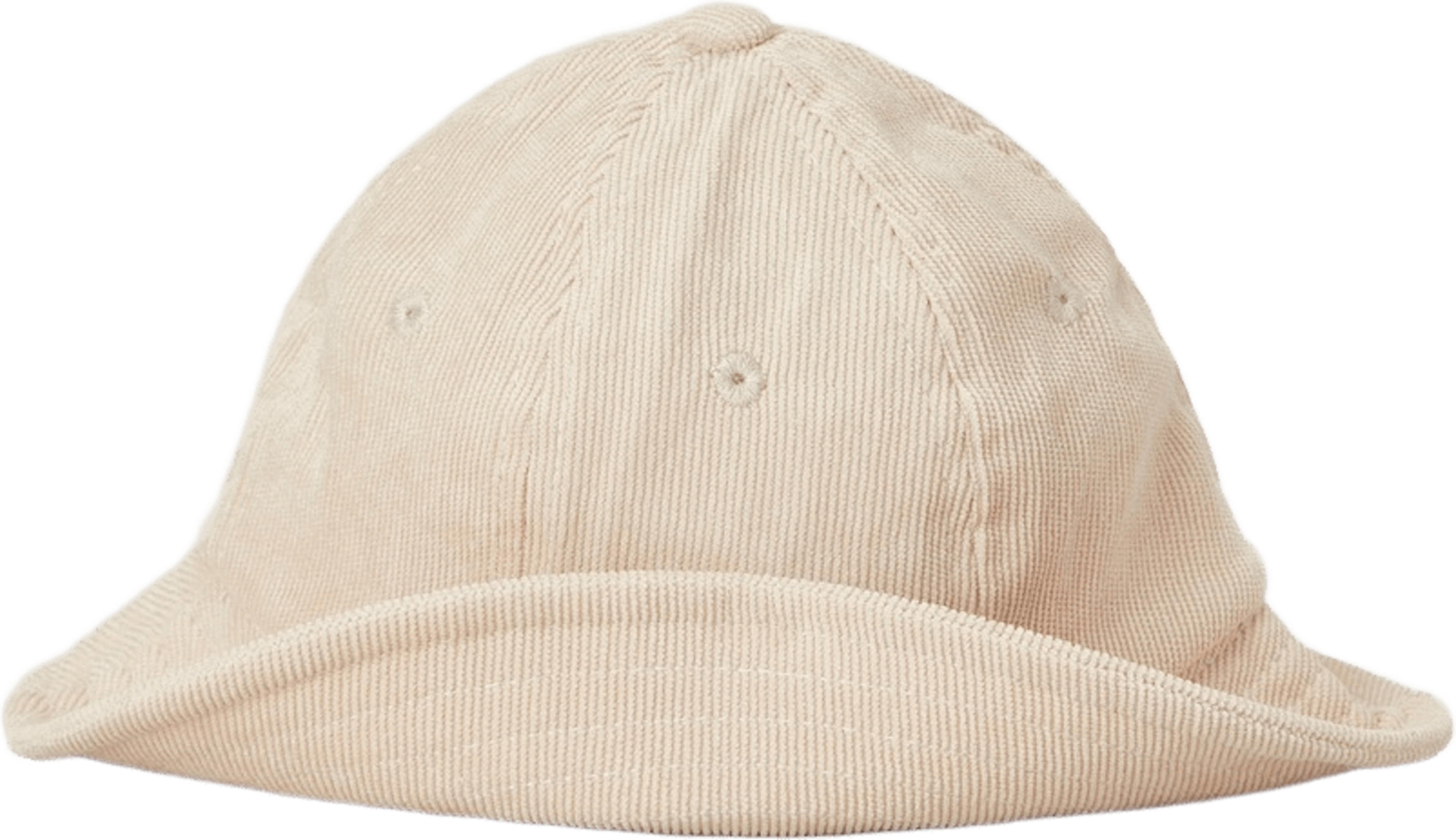 Sylvester Hat