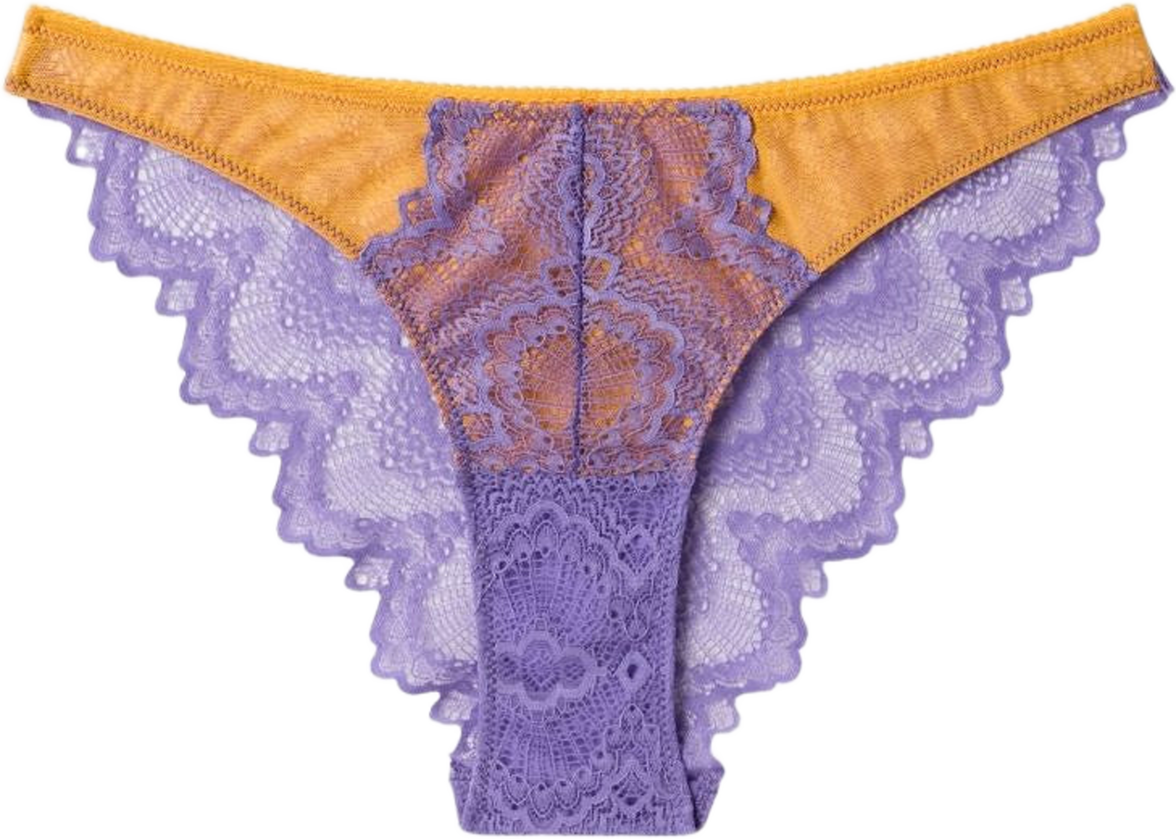 Lace Bikini Briefs