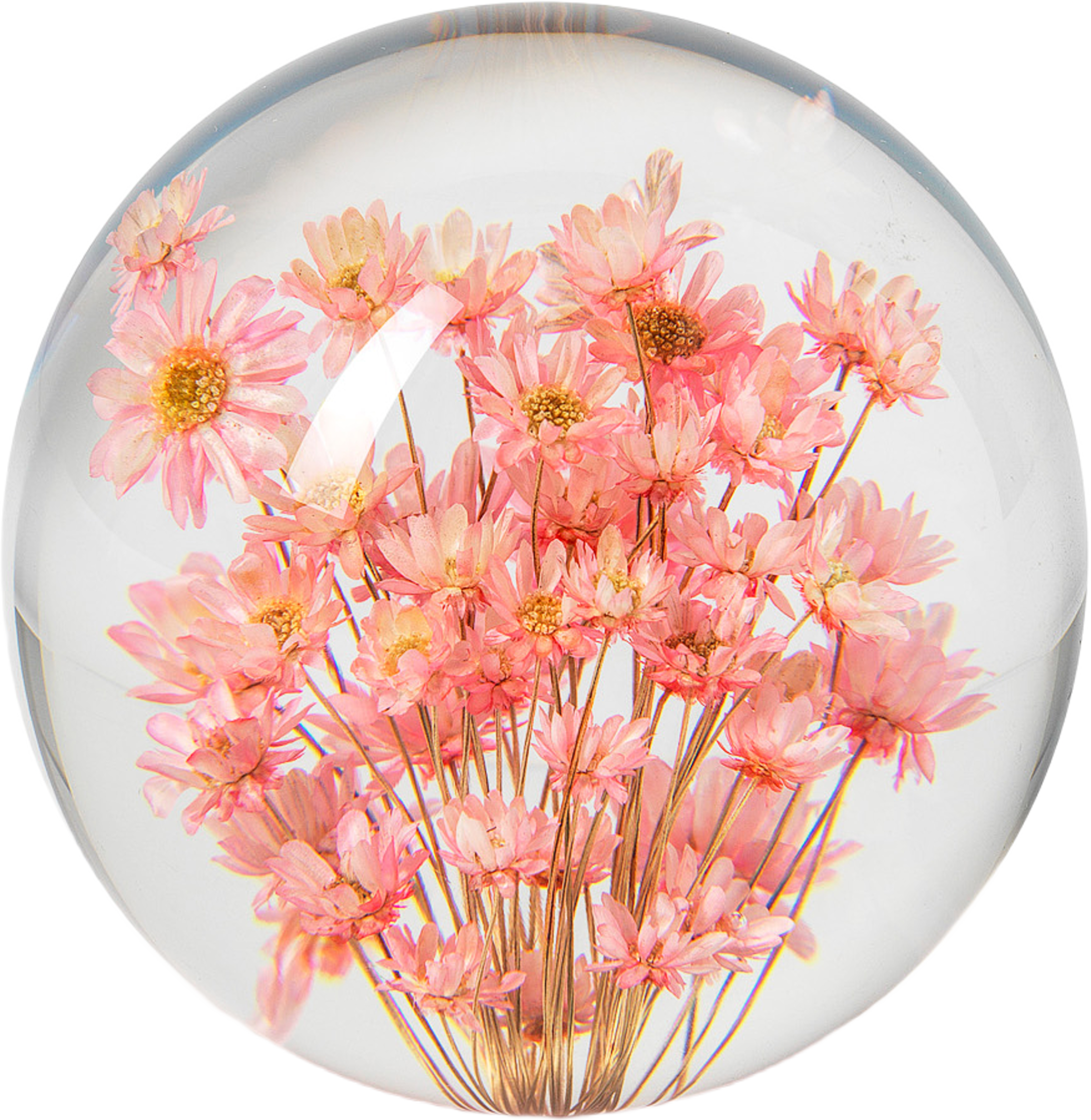 Fleur Pappersvikt, Brevtyngd