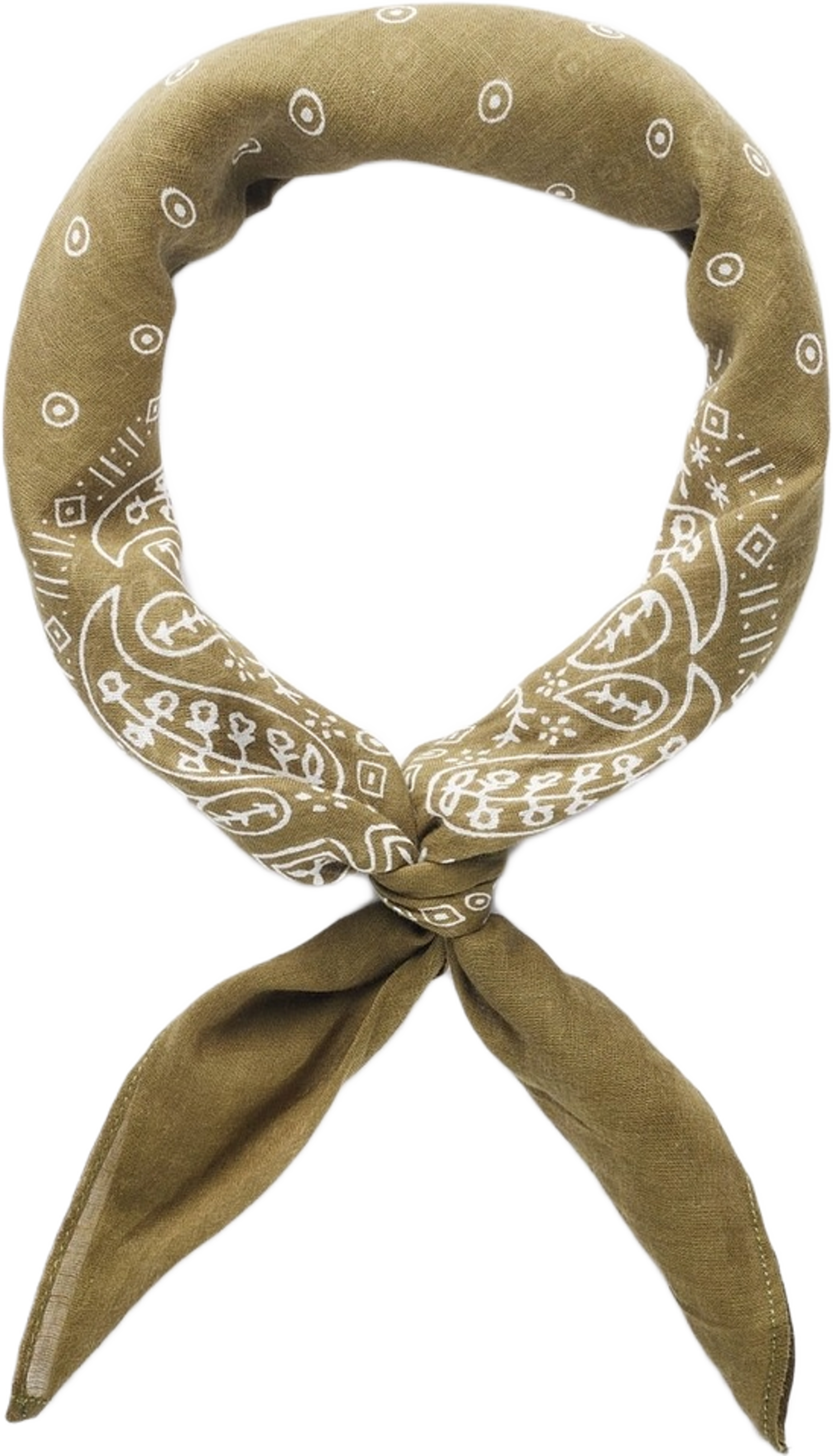 Cotton Paisley Bandana