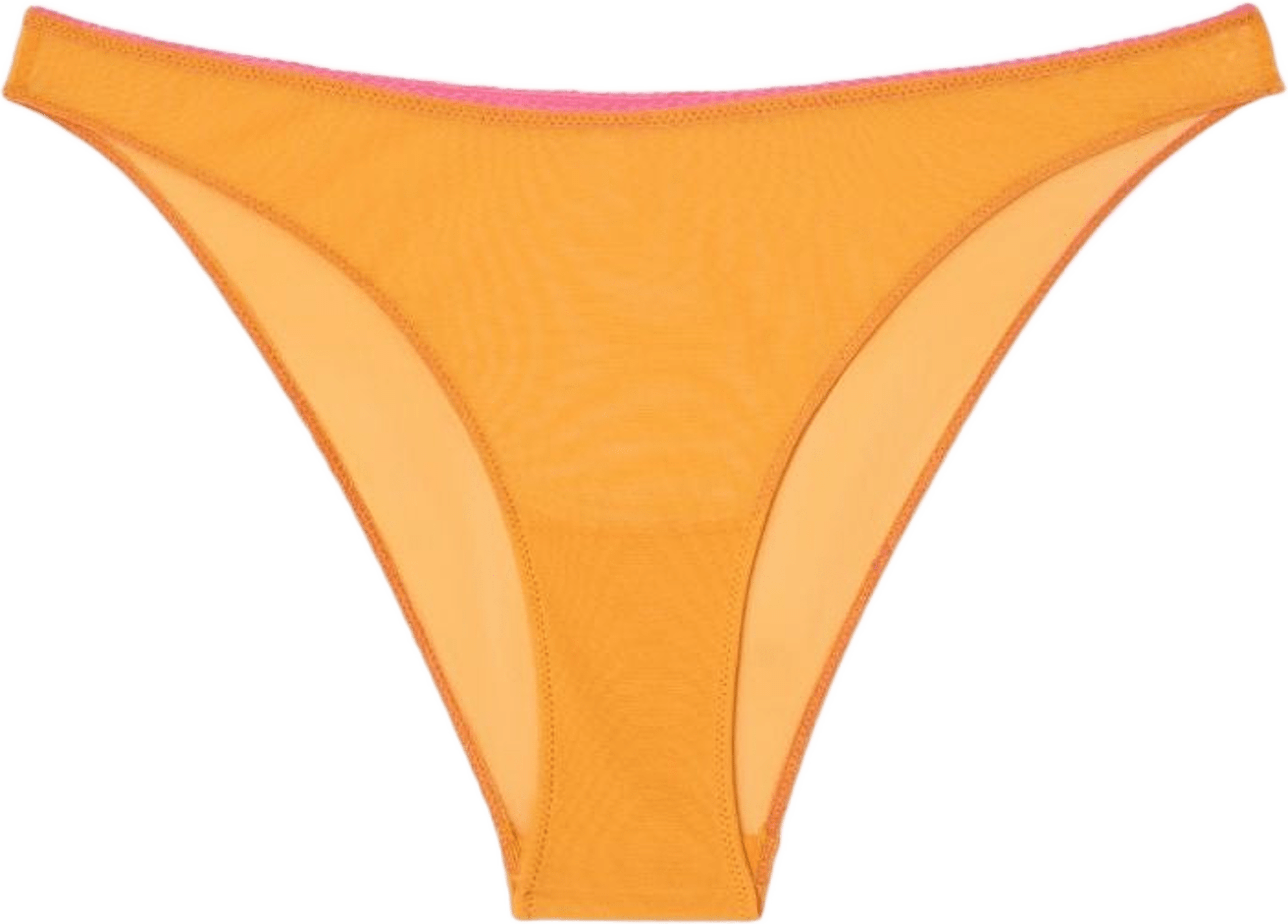 Mesh Bikini Briefs